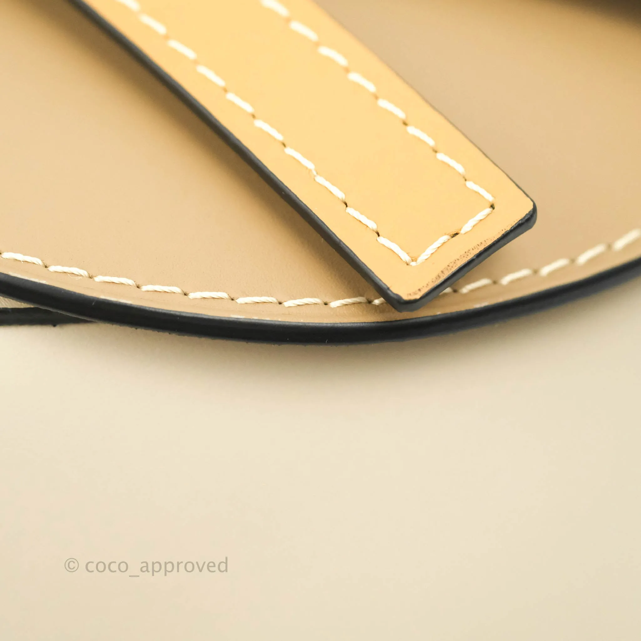 Loewe Small Gate Bag Smooth Calfskin in Rust