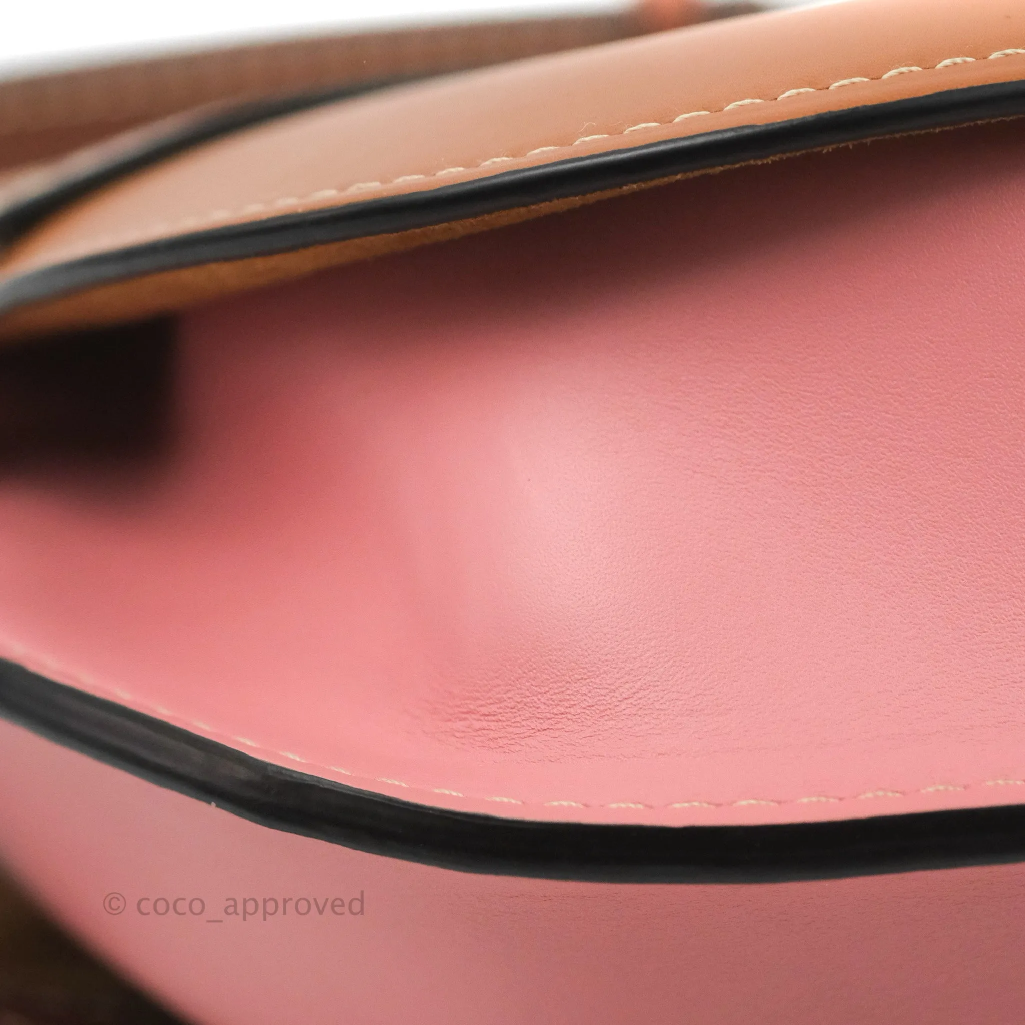 Loewe Small Gate Bag Smooth Calfskin in Tan/Pink