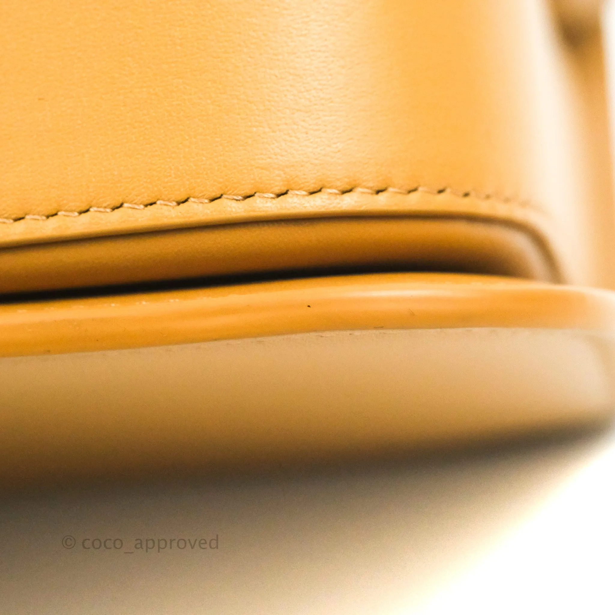 Loewe Small Goya Bag Warm Desert Silk Calfskin