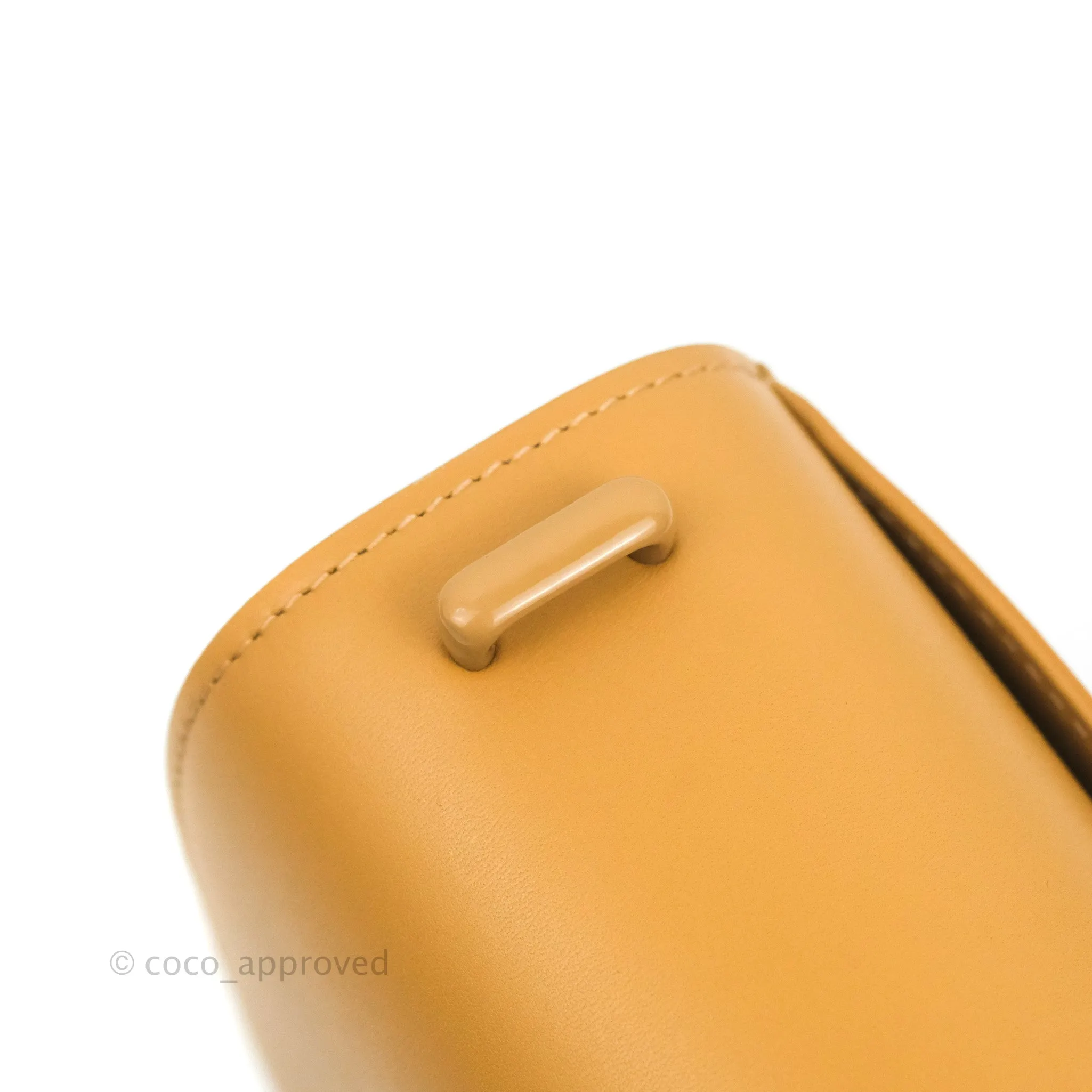Loewe Small Goya Bag Warm Desert Silk Calfskin