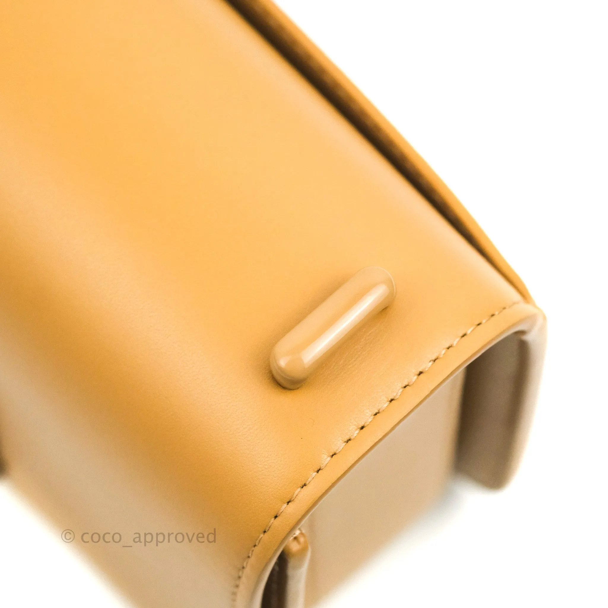 Loewe Small Goya Bag Warm Desert Silk Calfskin