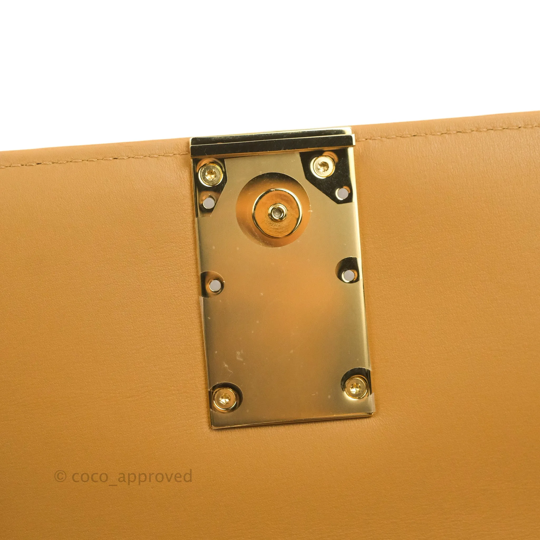Loewe Small Goya Bag Warm Desert Silk Calfskin