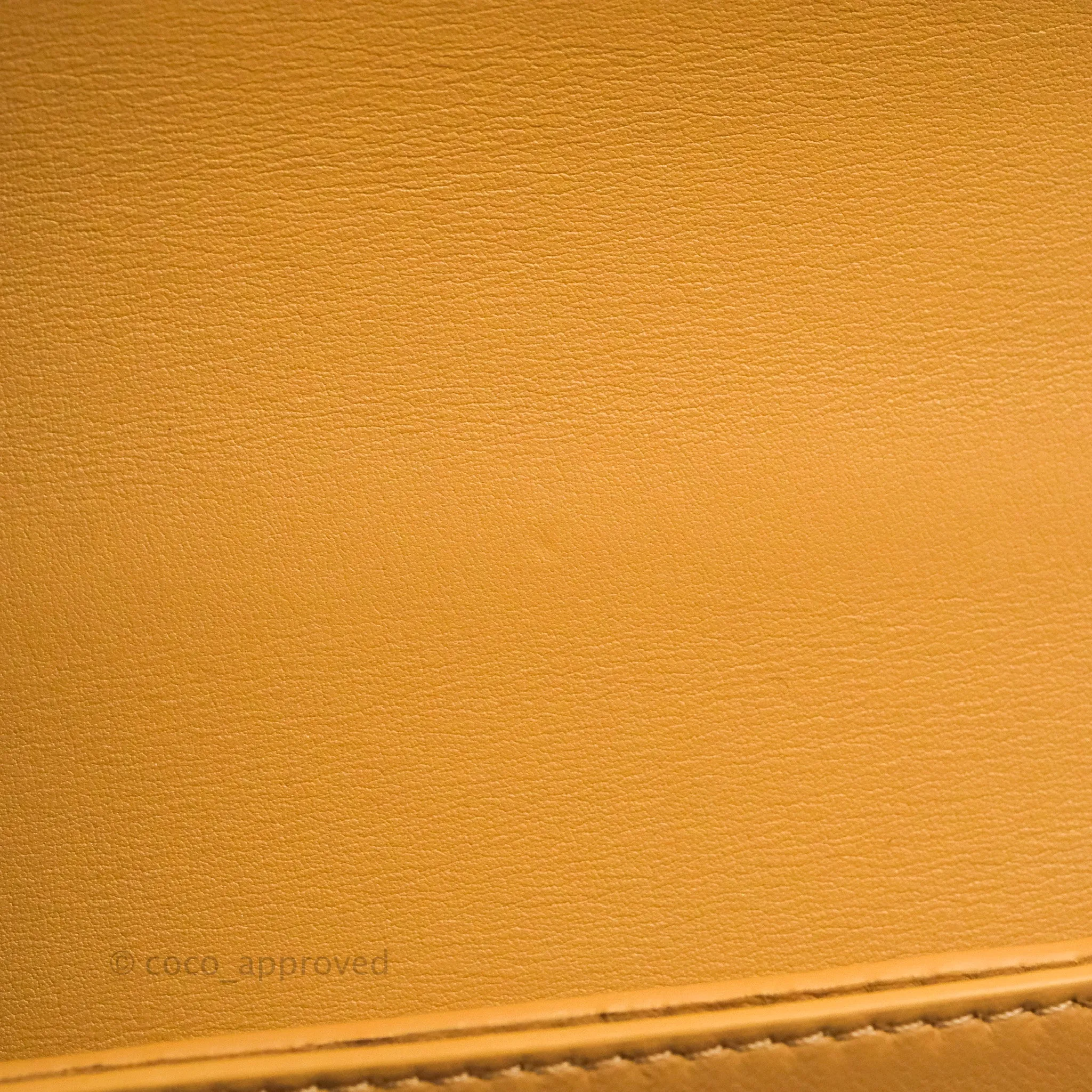 Loewe Small Goya Bag Warm Desert Silk Calfskin