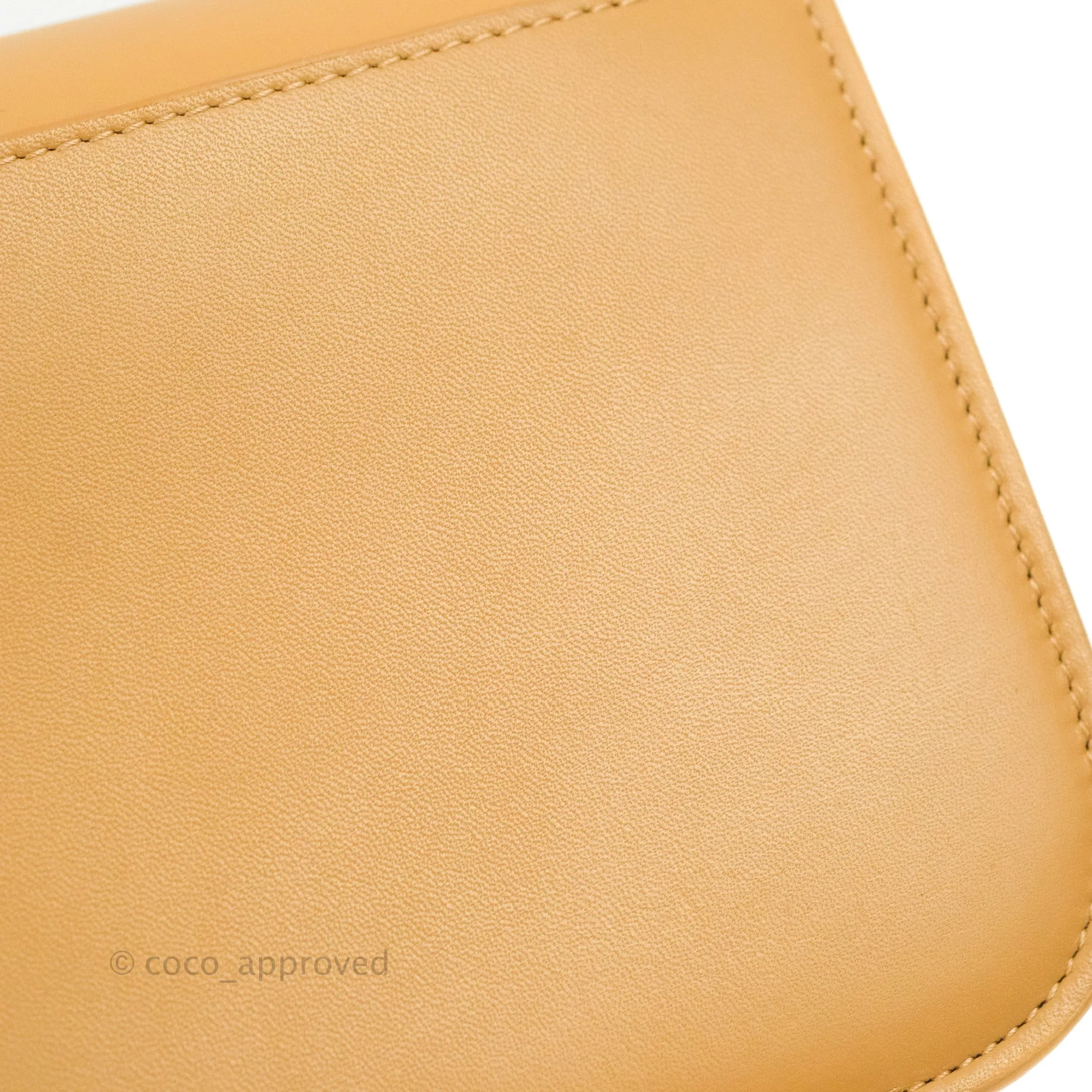 Loewe Small Goya Bag Warm Desert Silk Calfskin