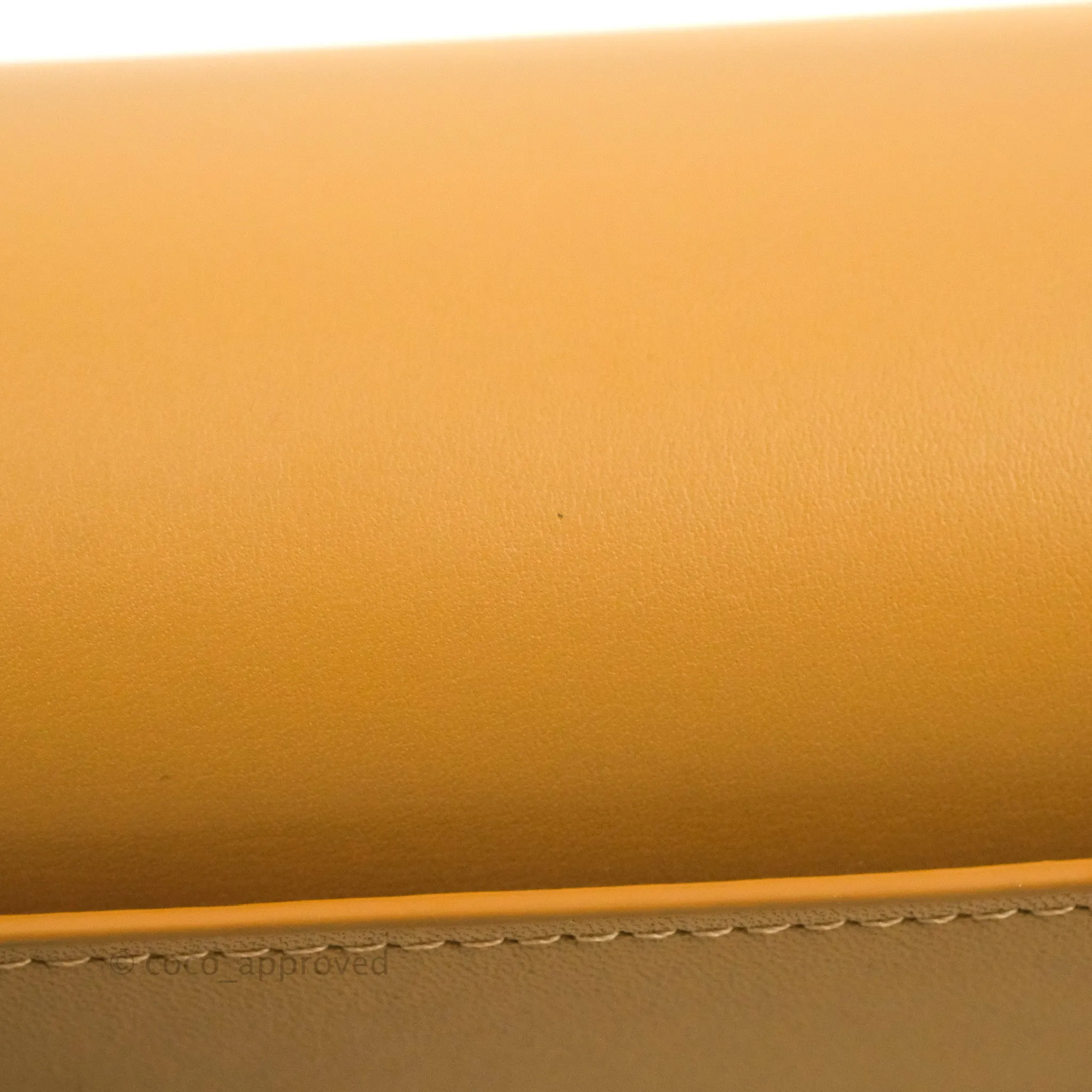 Loewe Small Goya Bag Warm Desert Silk Calfskin