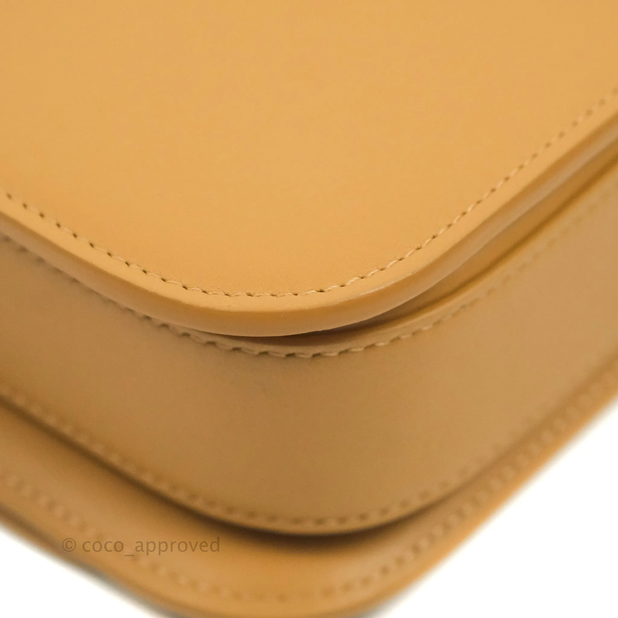 Loewe Small Goya Bag Warm Desert Silk Calfskin