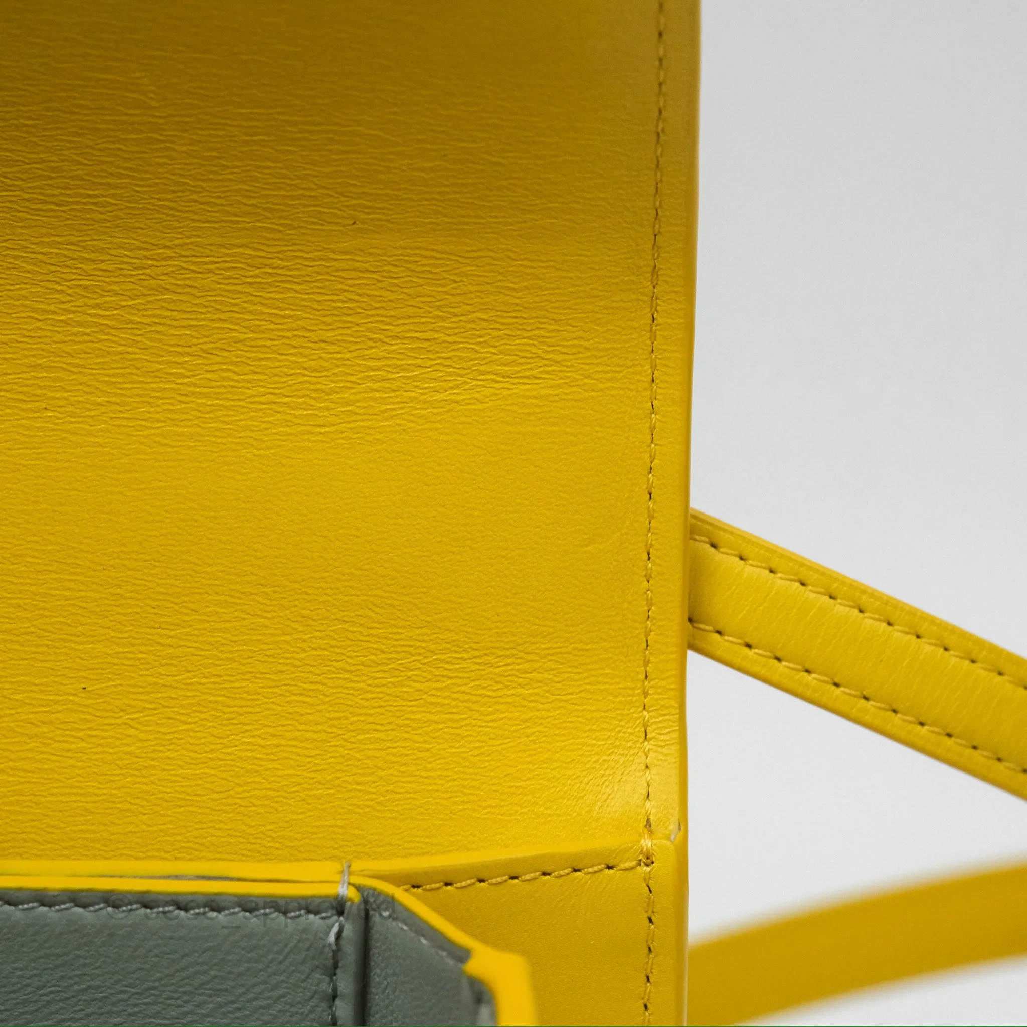 Loewe Small Goya Bag Yellow Silk Calfskin
