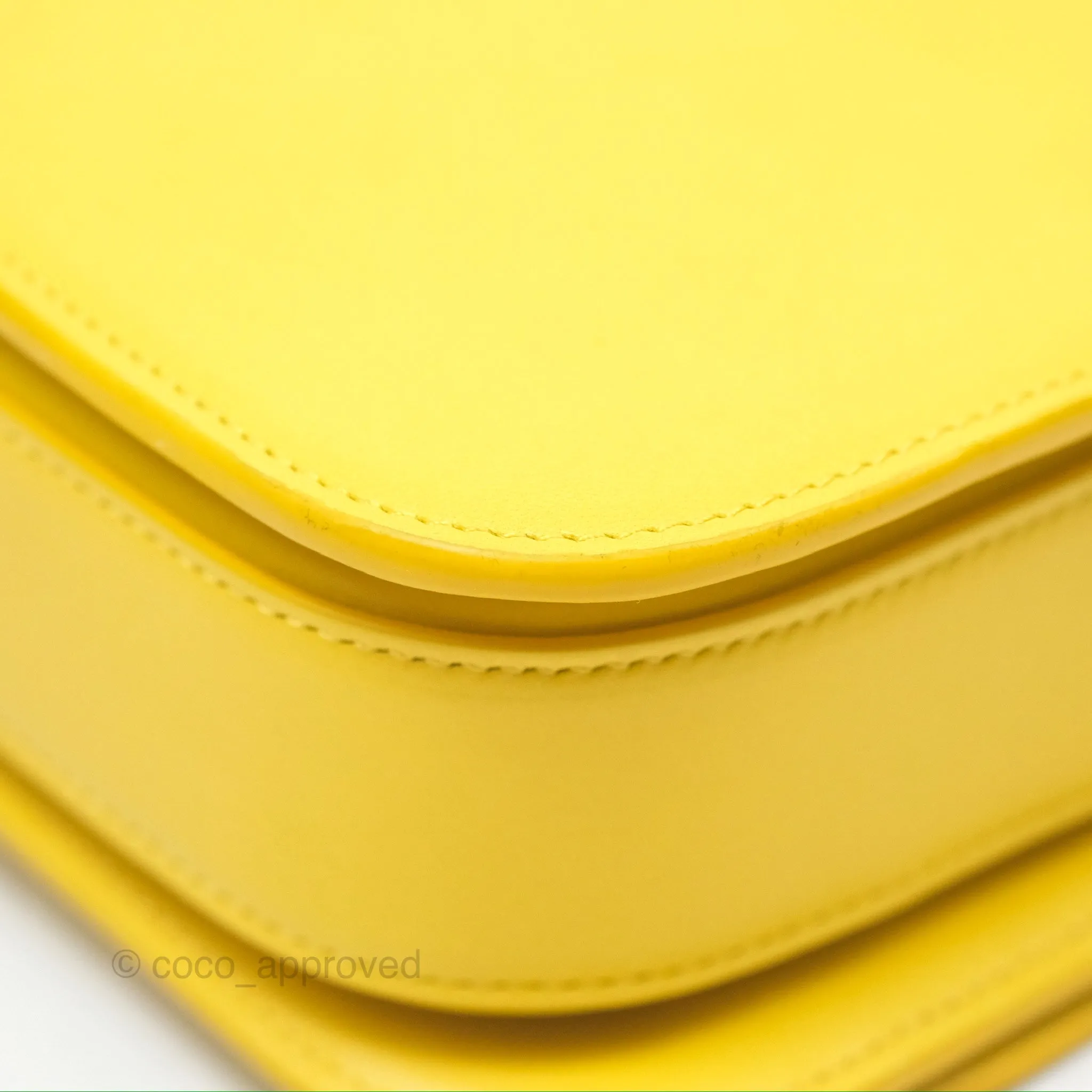 Loewe Small Goya Bag Yellow Silk Calfskin