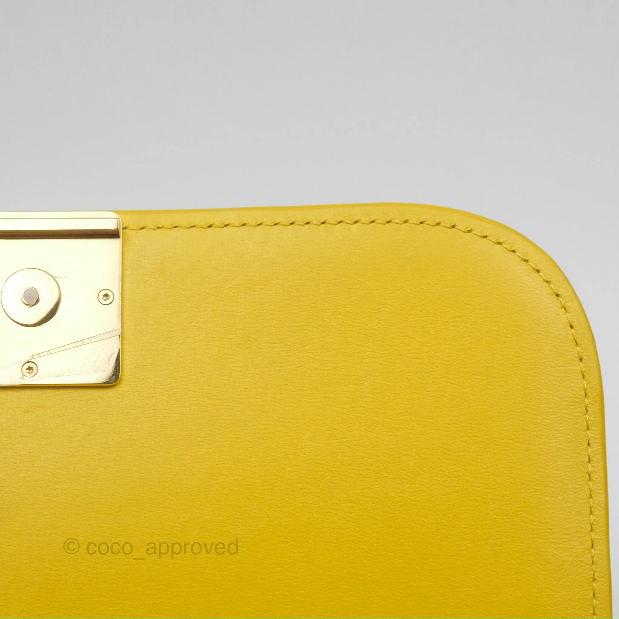 Loewe Small Goya Bag Yellow Silk Calfskin