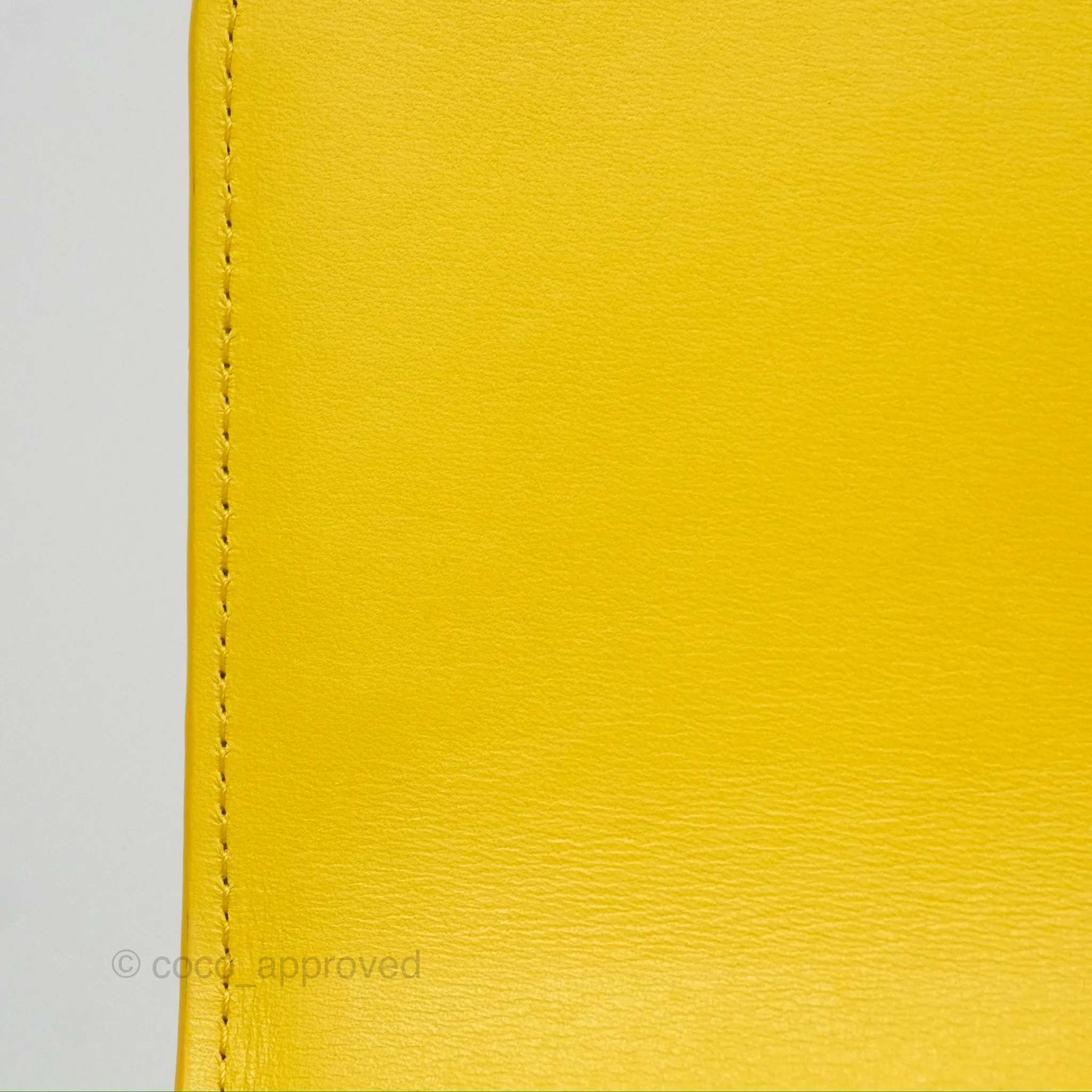 Loewe Small Goya Bag Yellow Silk Calfskin