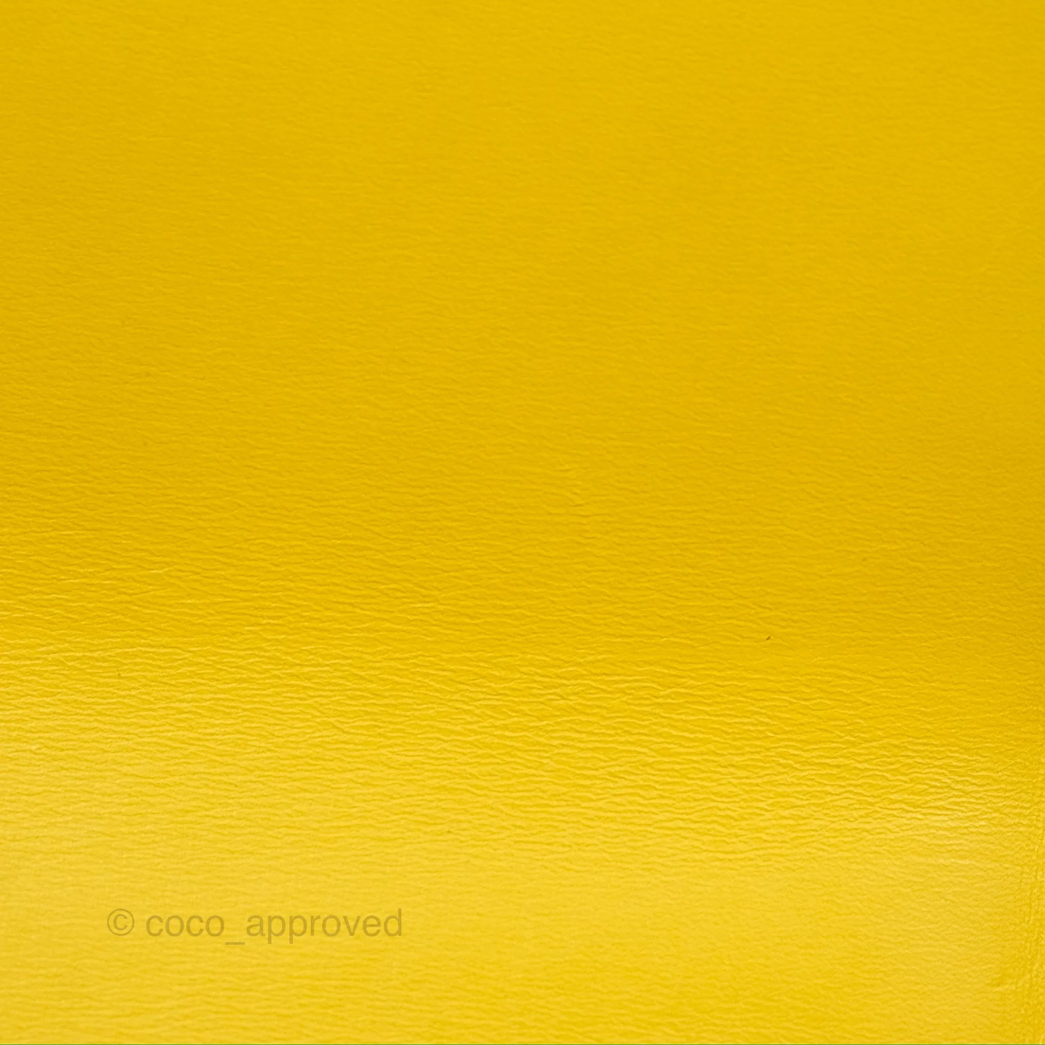 Loewe Small Goya Bag Yellow Silk Calfskin