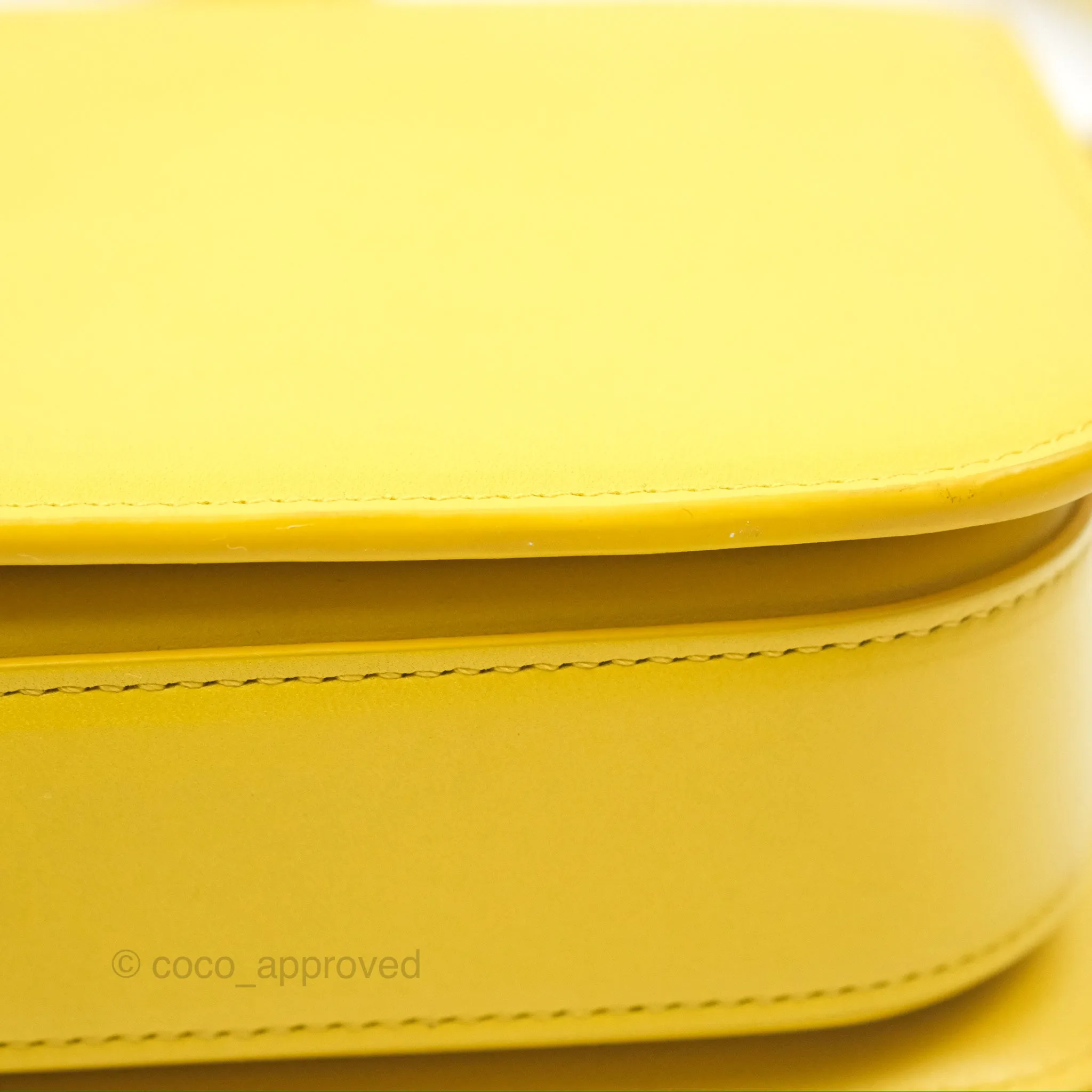 Loewe Small Goya Bag Yellow Silk Calfskin