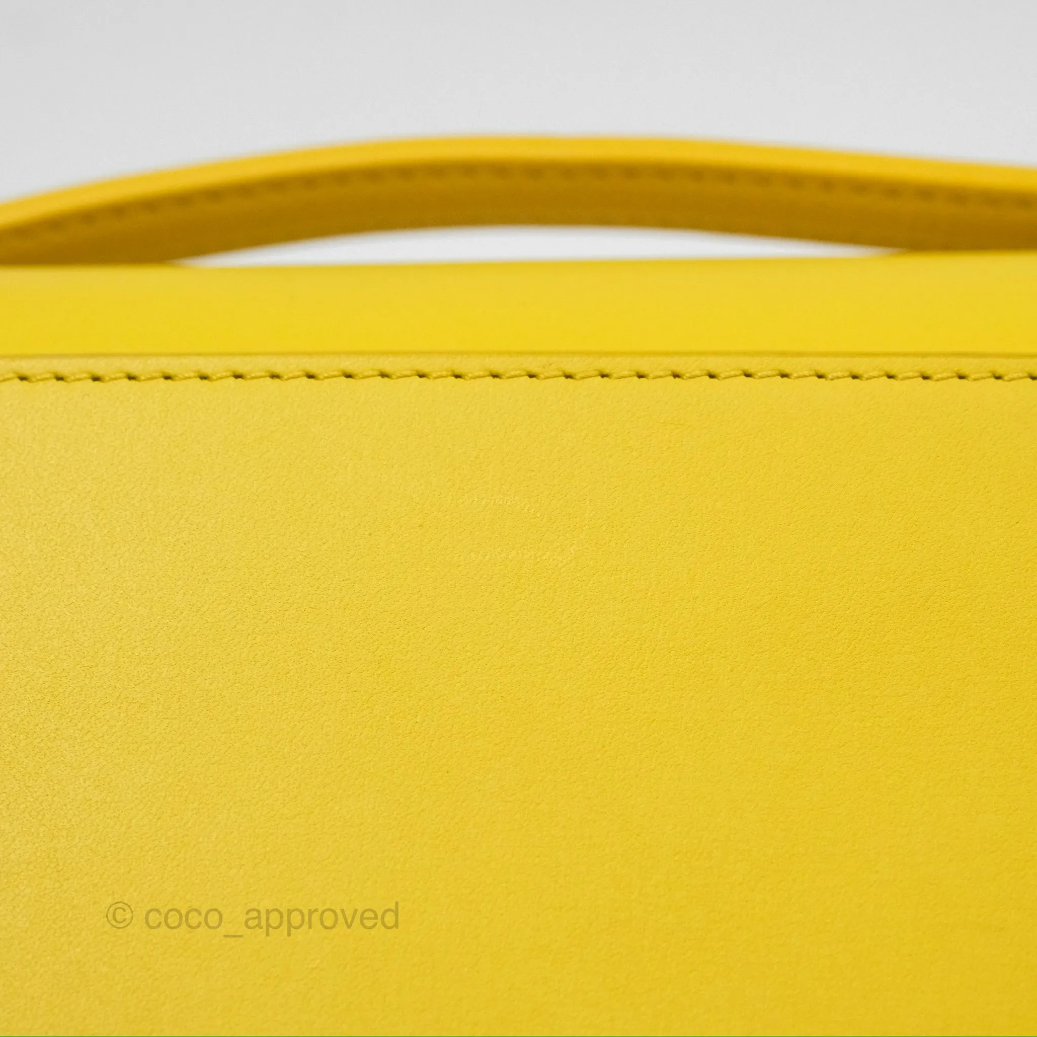 Loewe Small Goya Bag Yellow Silk Calfskin