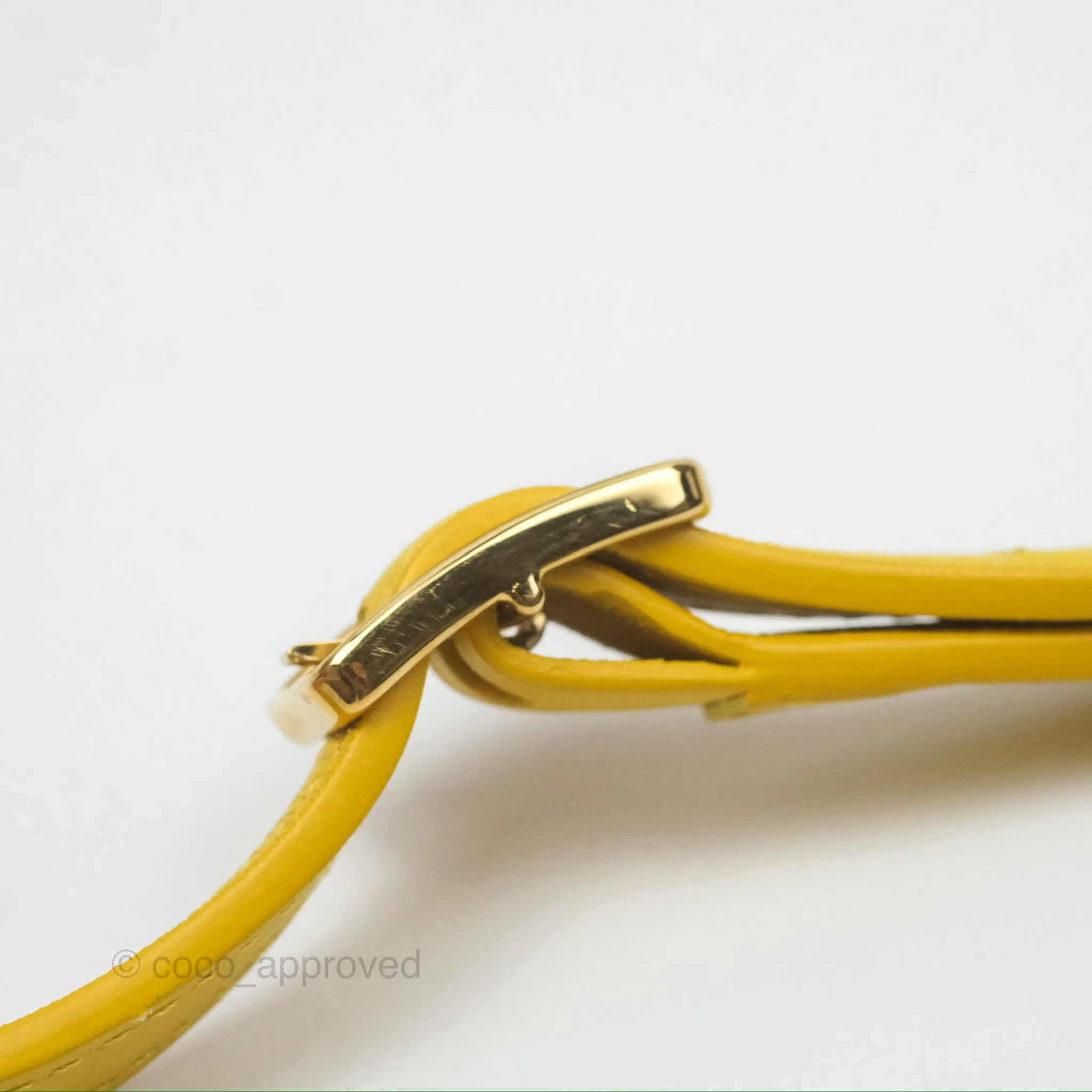 Loewe Small Goya Bag Yellow Silk Calfskin