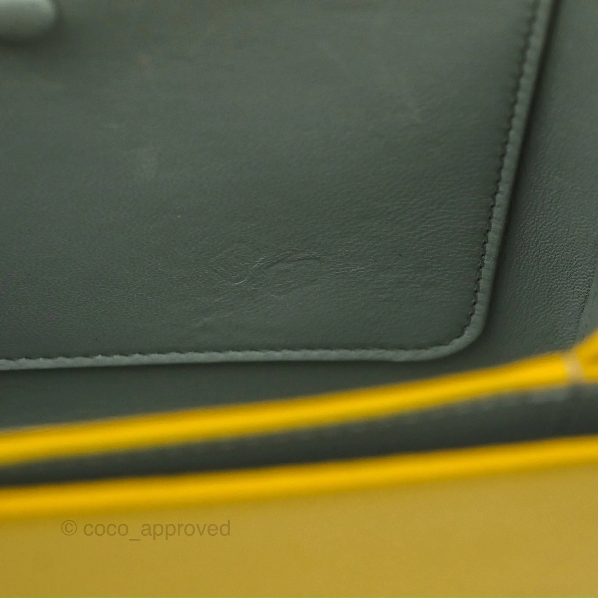 Loewe Small Goya Bag Yellow Silk Calfskin
