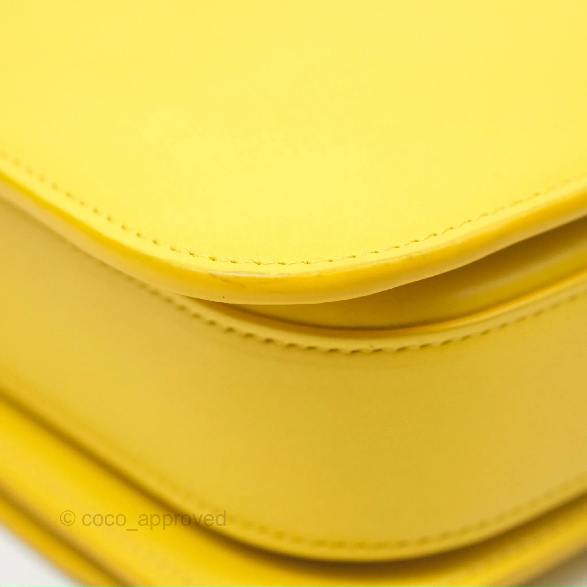 Loewe Small Goya Bag Yellow Silk Calfskin