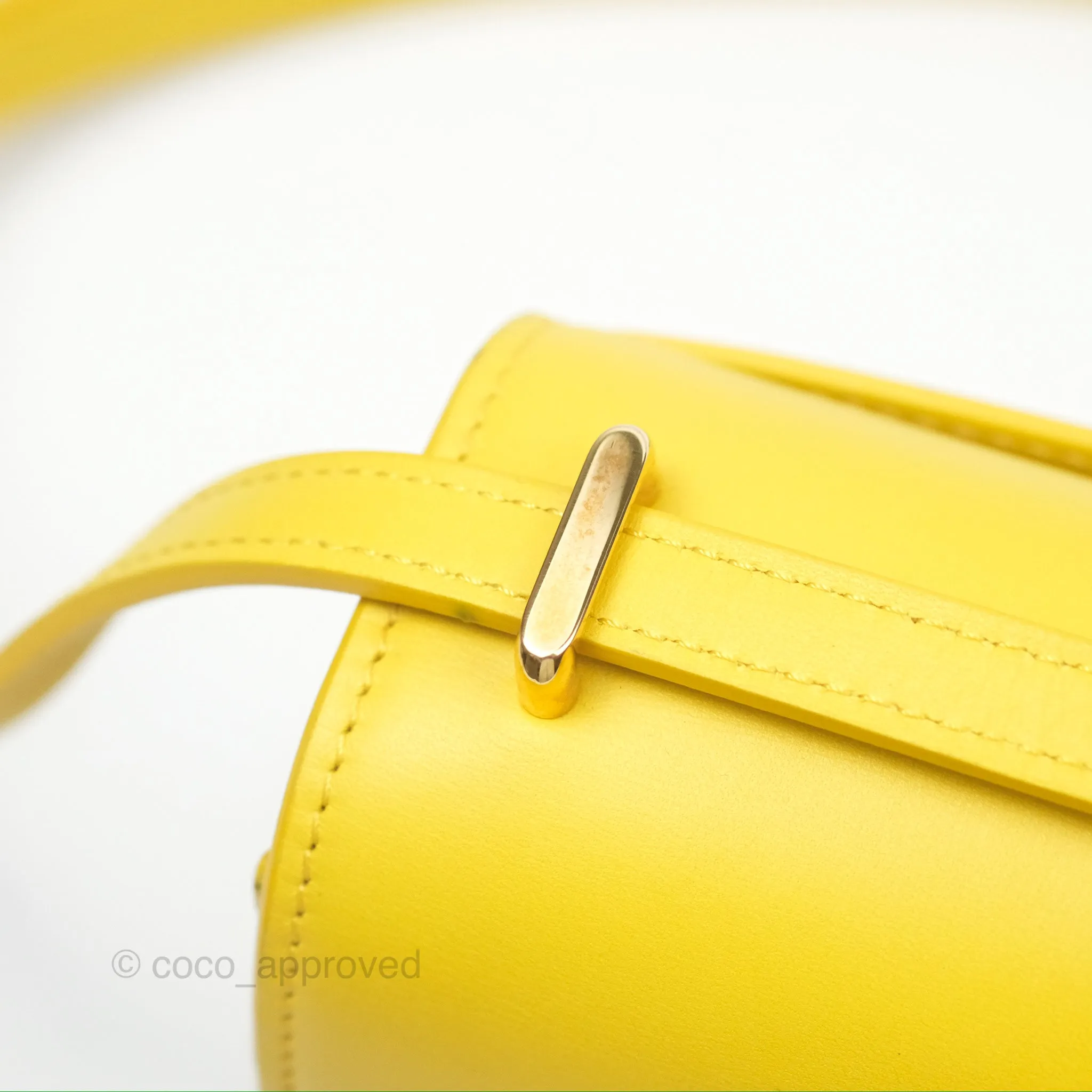 Loewe Small Goya Bag Yellow Silk Calfskin