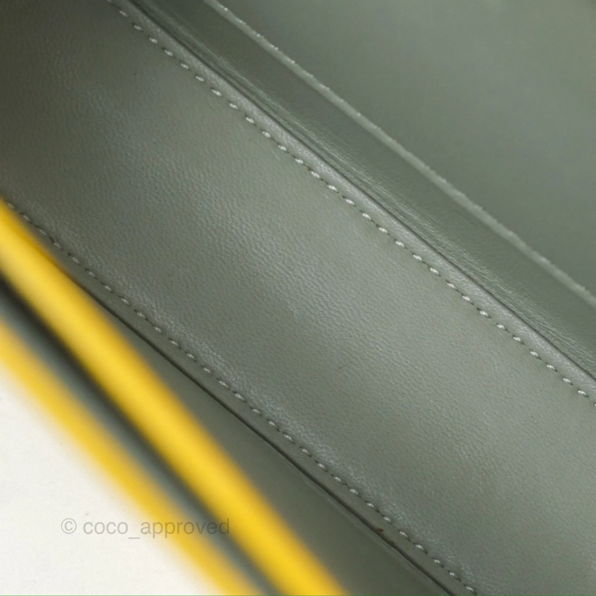 Loewe Small Goya Bag Yellow Silk Calfskin