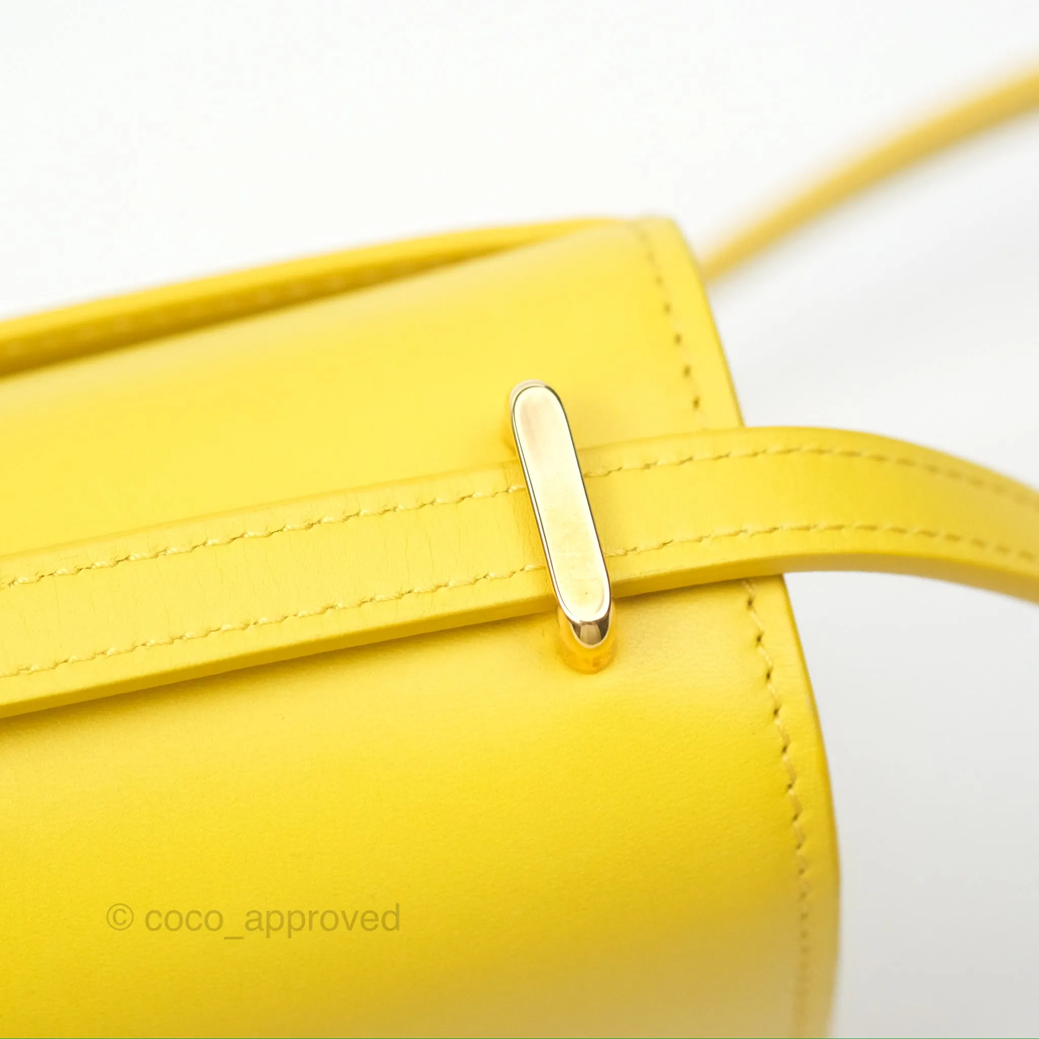 Loewe Small Goya Bag Yellow Silk Calfskin