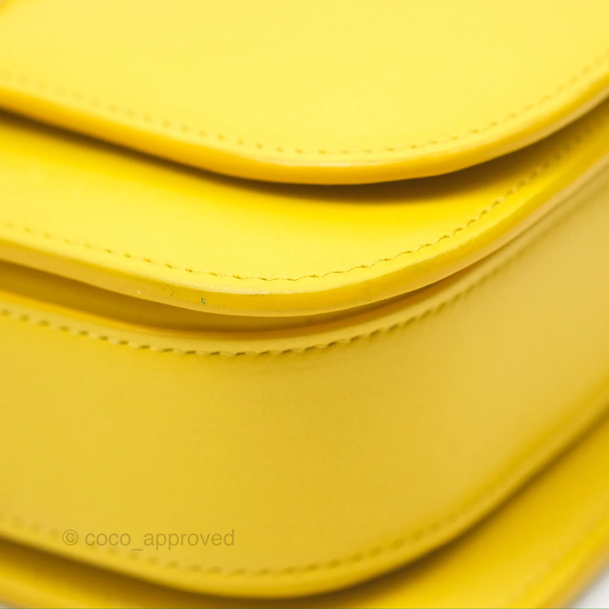Loewe Small Goya Bag Yellow Silk Calfskin