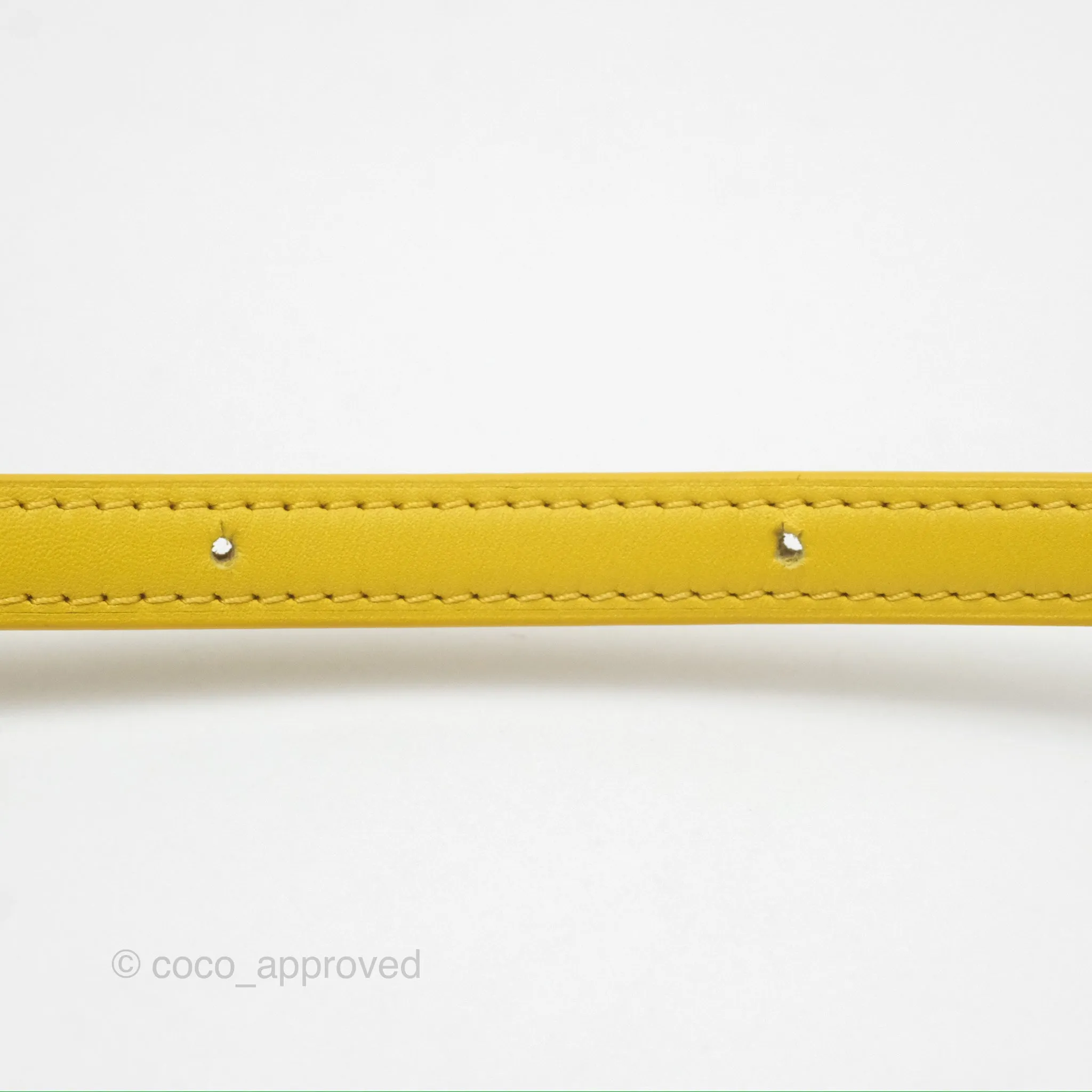 Loewe Small Goya Bag Yellow Silk Calfskin