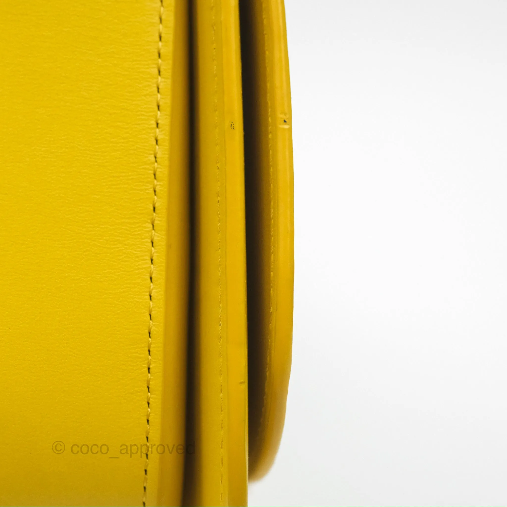 Loewe Small Goya Bag Yellow Silk Calfskin