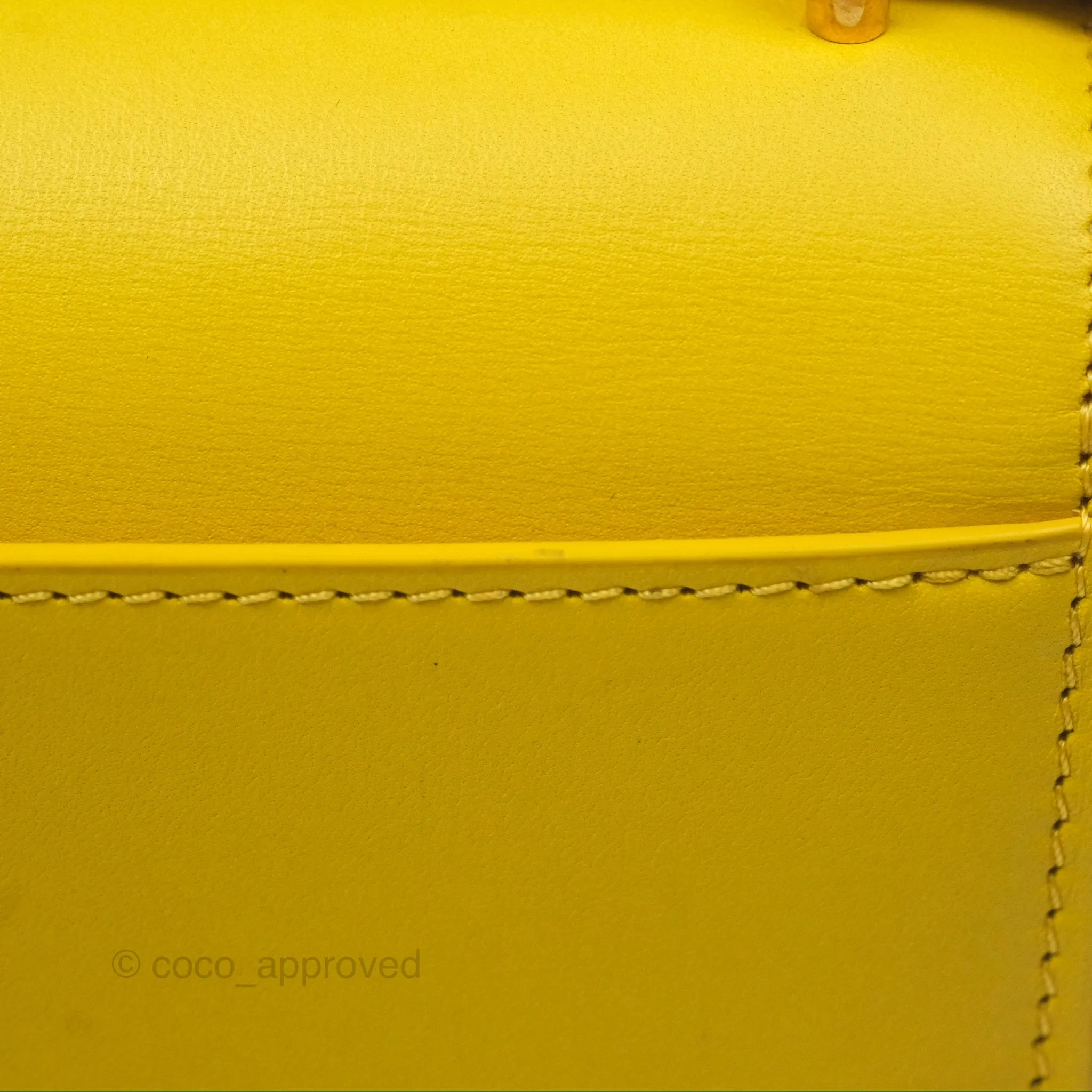 Loewe Small Goya Bag Yellow Silk Calfskin