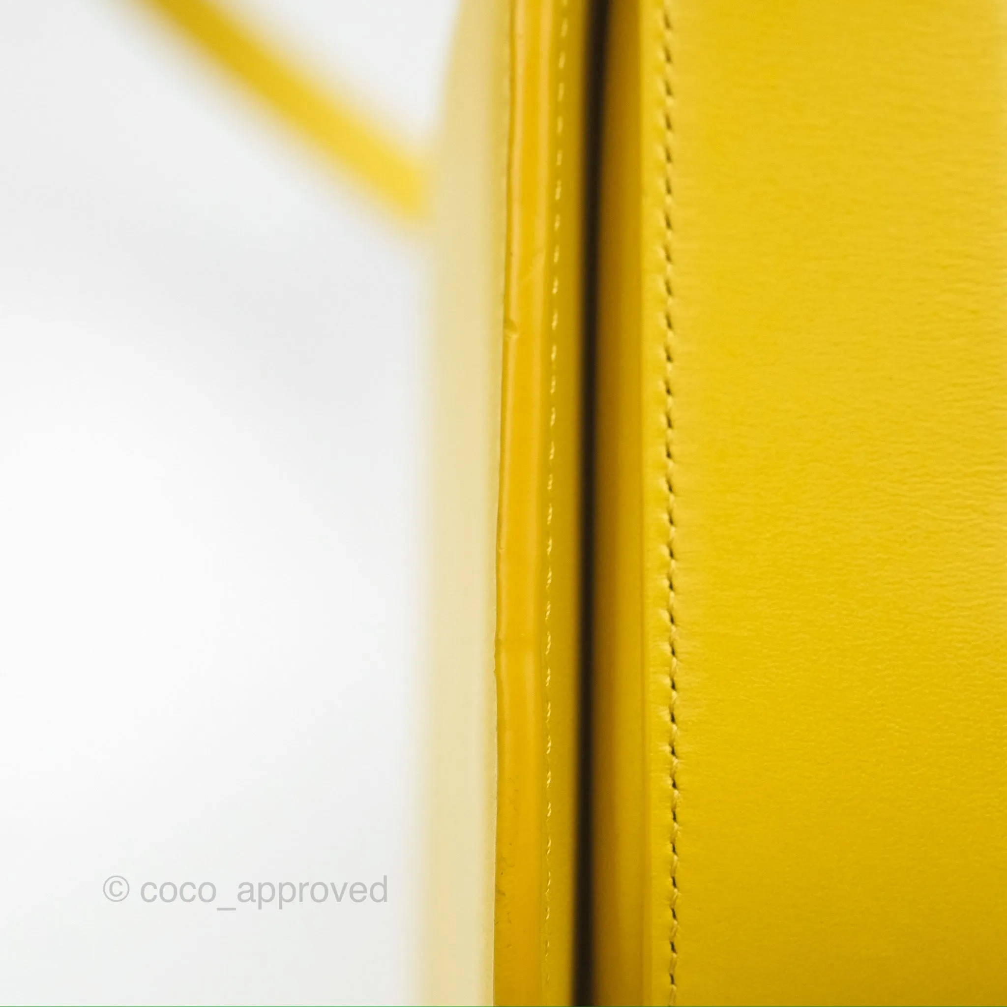 Loewe Small Goya Bag Yellow Silk Calfskin