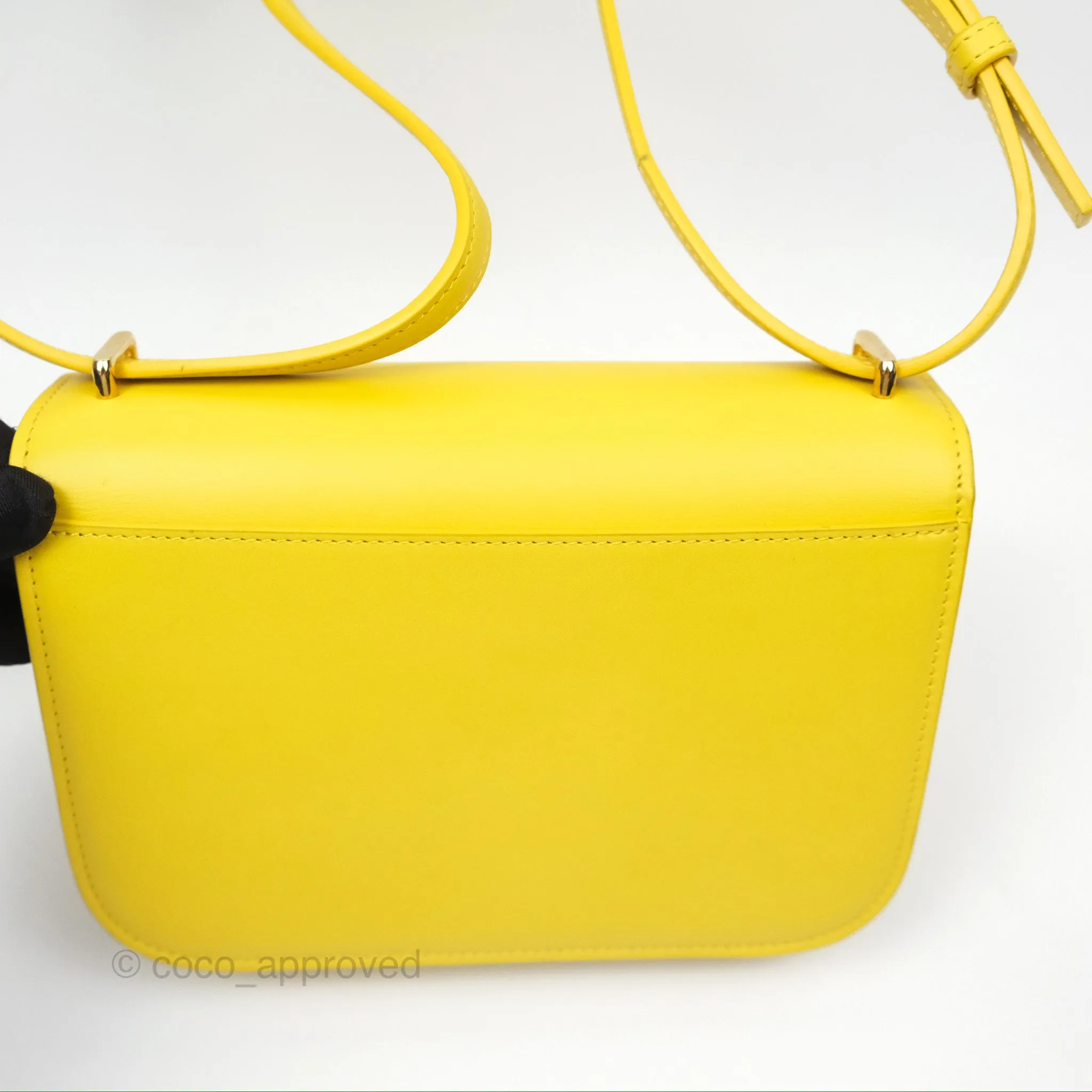 Loewe Small Goya Bag Yellow Silk Calfskin