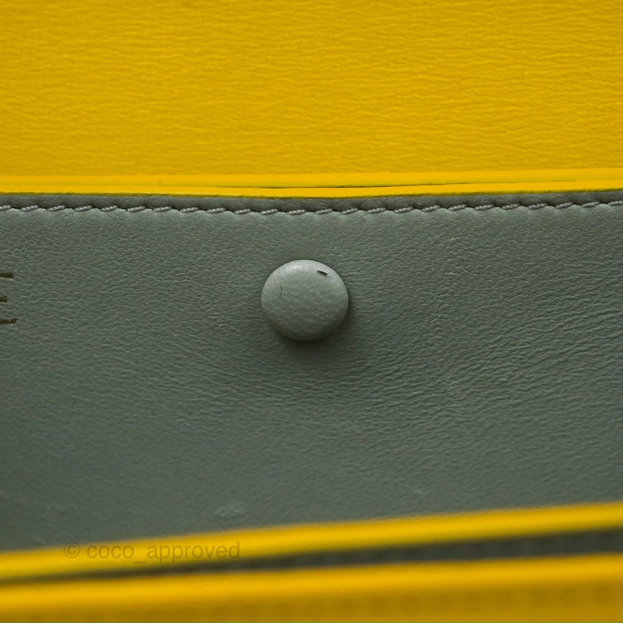 Loewe Small Goya Bag Yellow Silk Calfskin