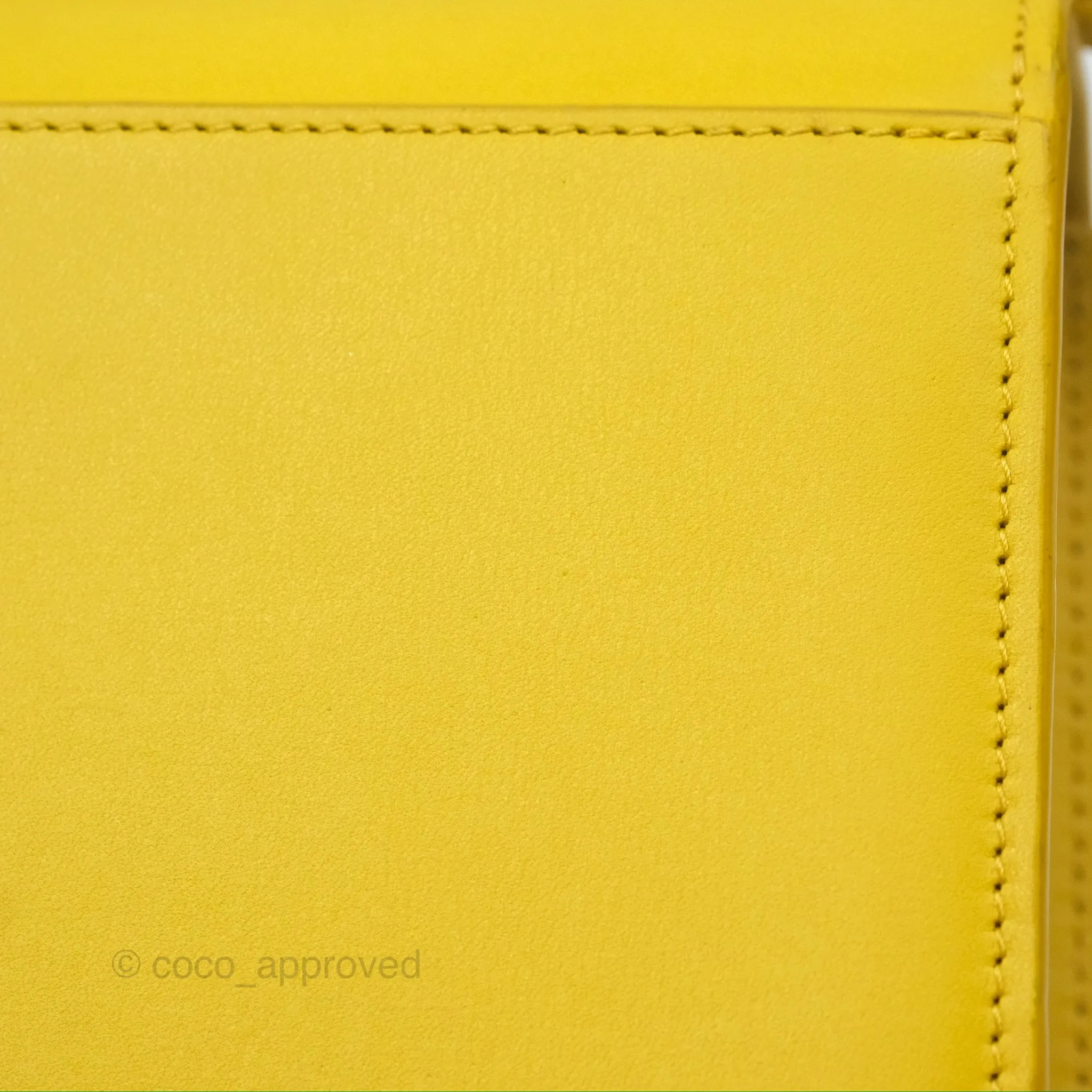 Loewe Small Goya Bag Yellow Silk Calfskin