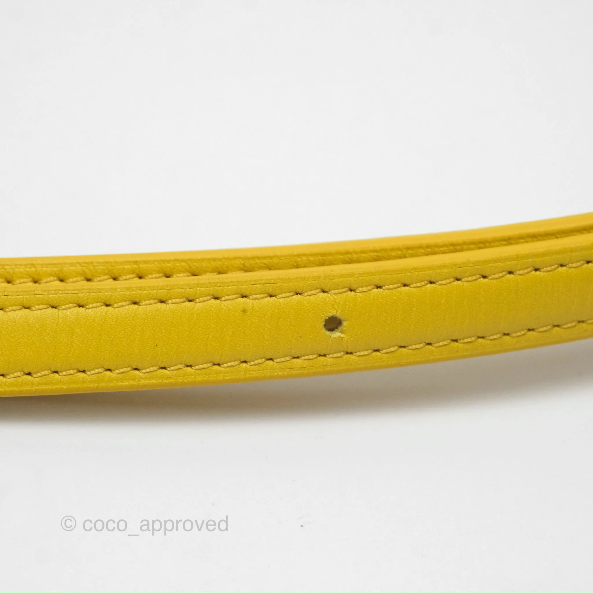 Loewe Small Goya Bag Yellow Silk Calfskin