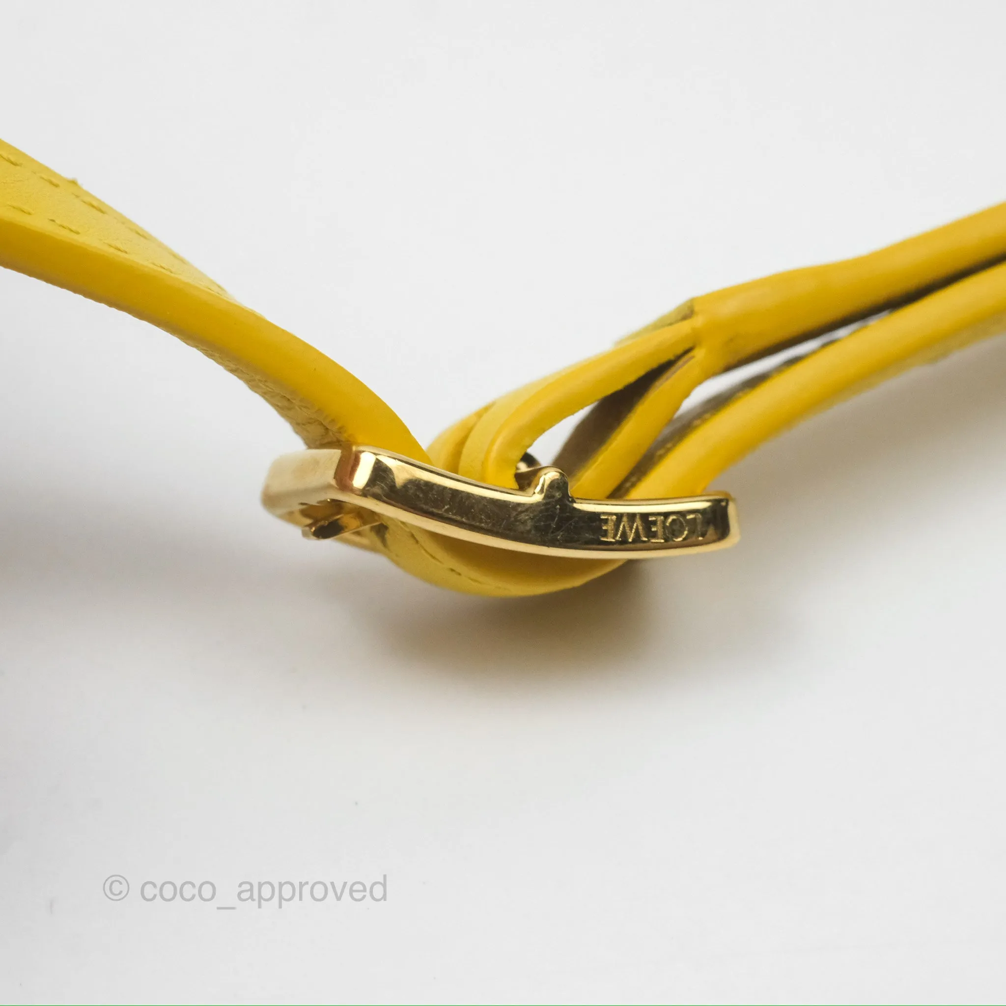 Loewe Small Goya Bag Yellow Silk Calfskin