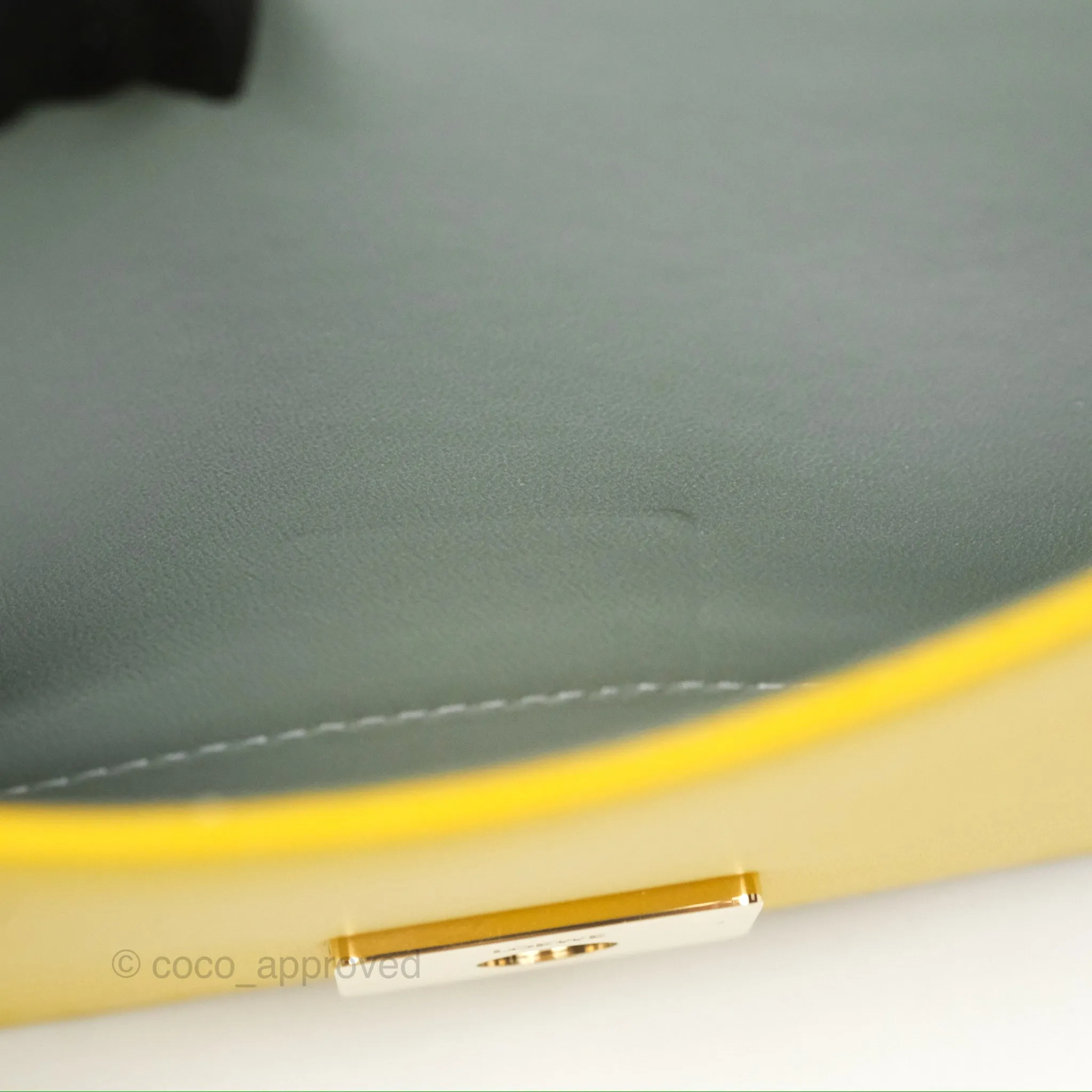 Loewe Small Goya Bag Yellow Silk Calfskin
