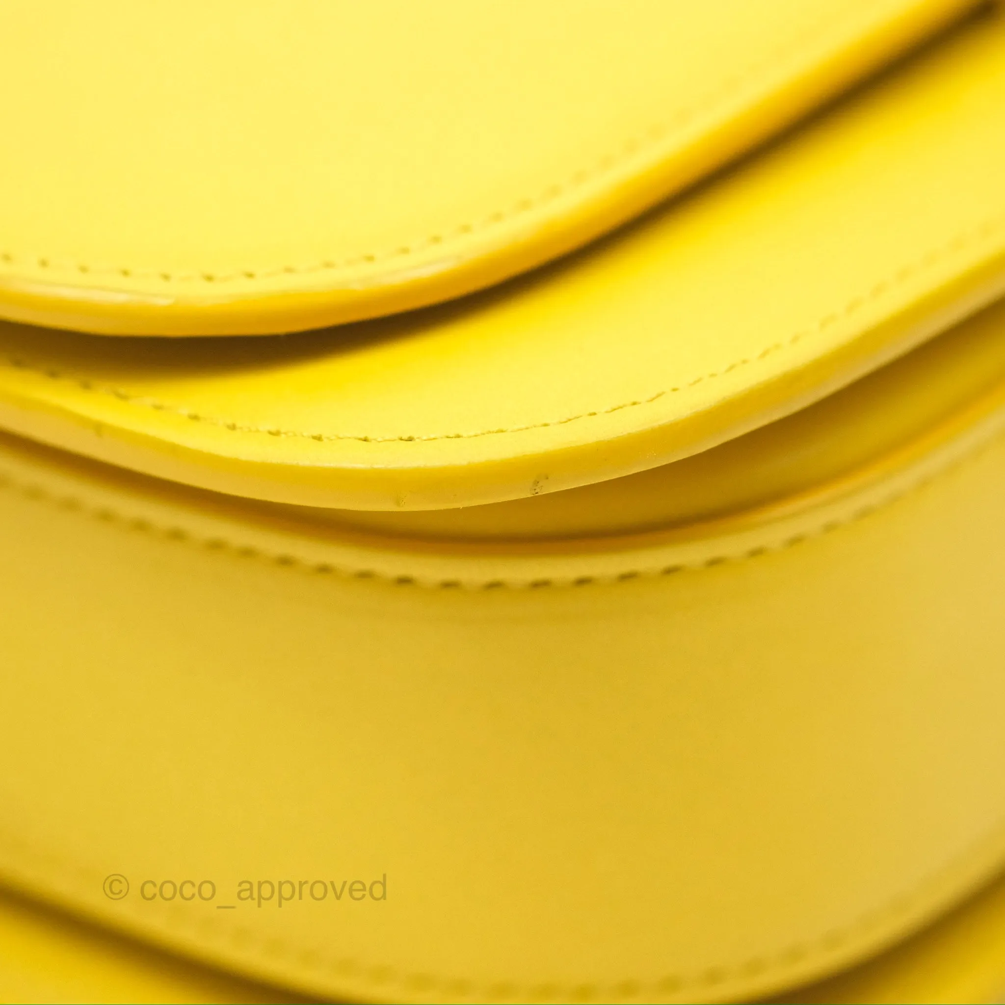 Loewe Small Goya Bag Yellow Silk Calfskin