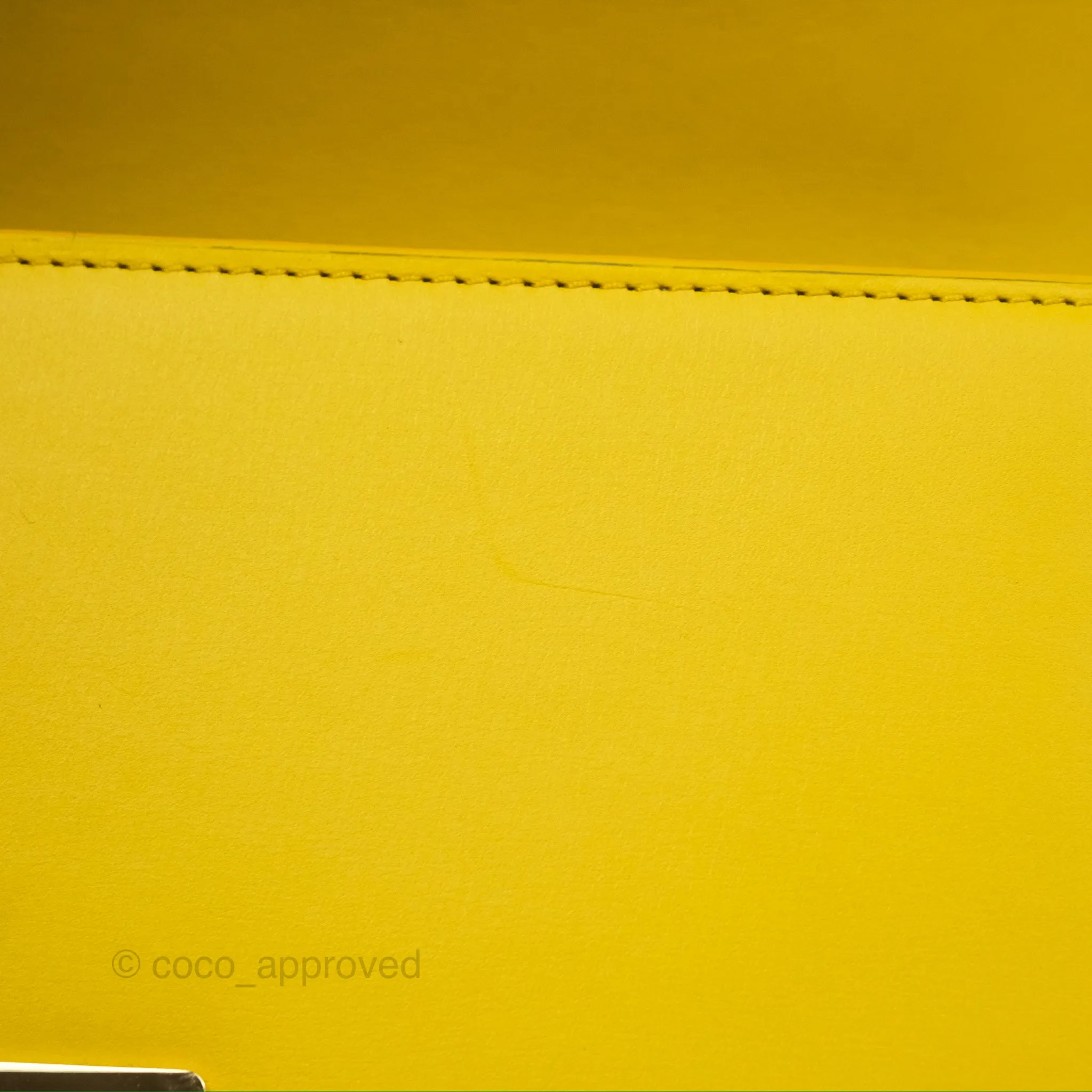Loewe Small Goya Bag Yellow Silk Calfskin
