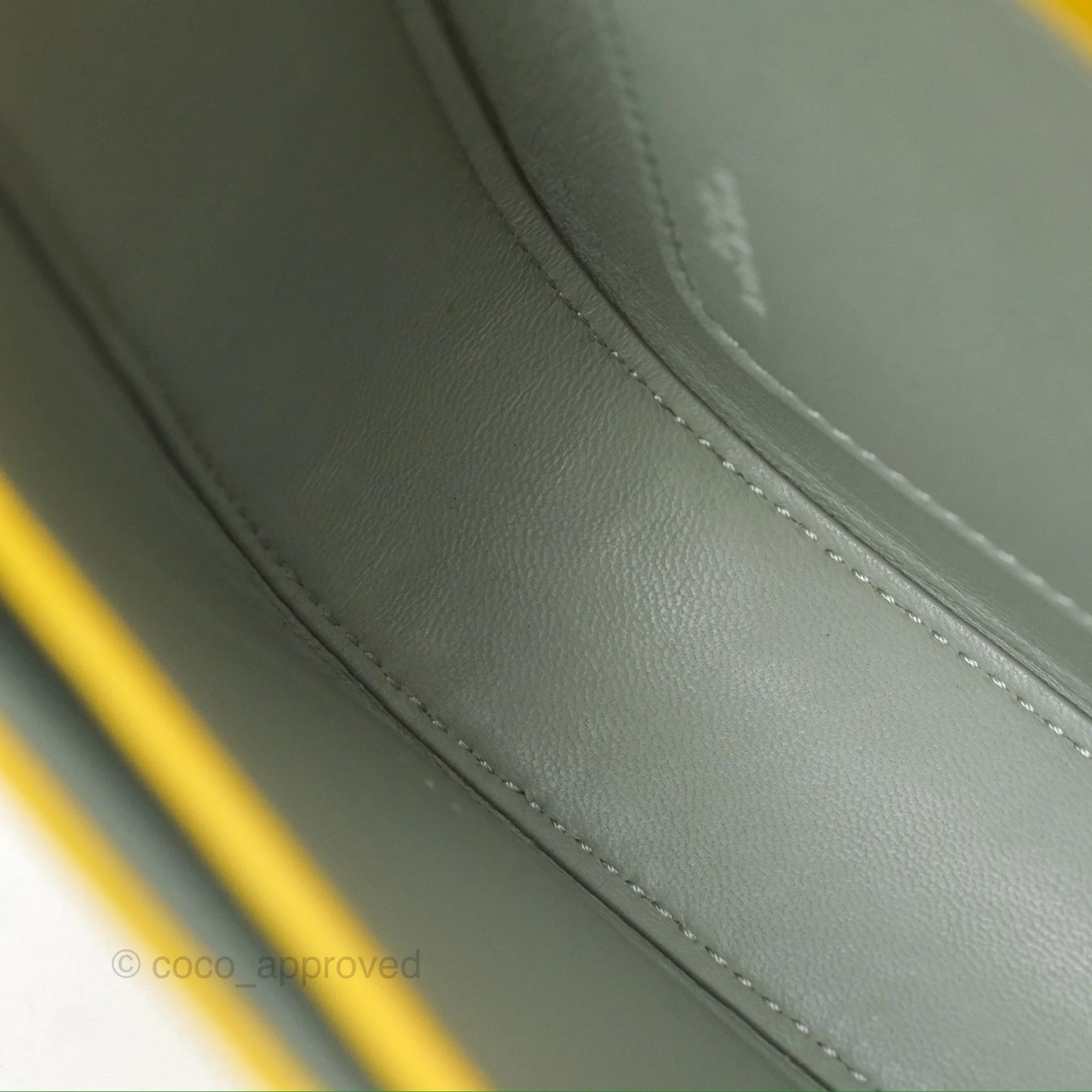 Loewe Small Goya Bag Yellow Silk Calfskin