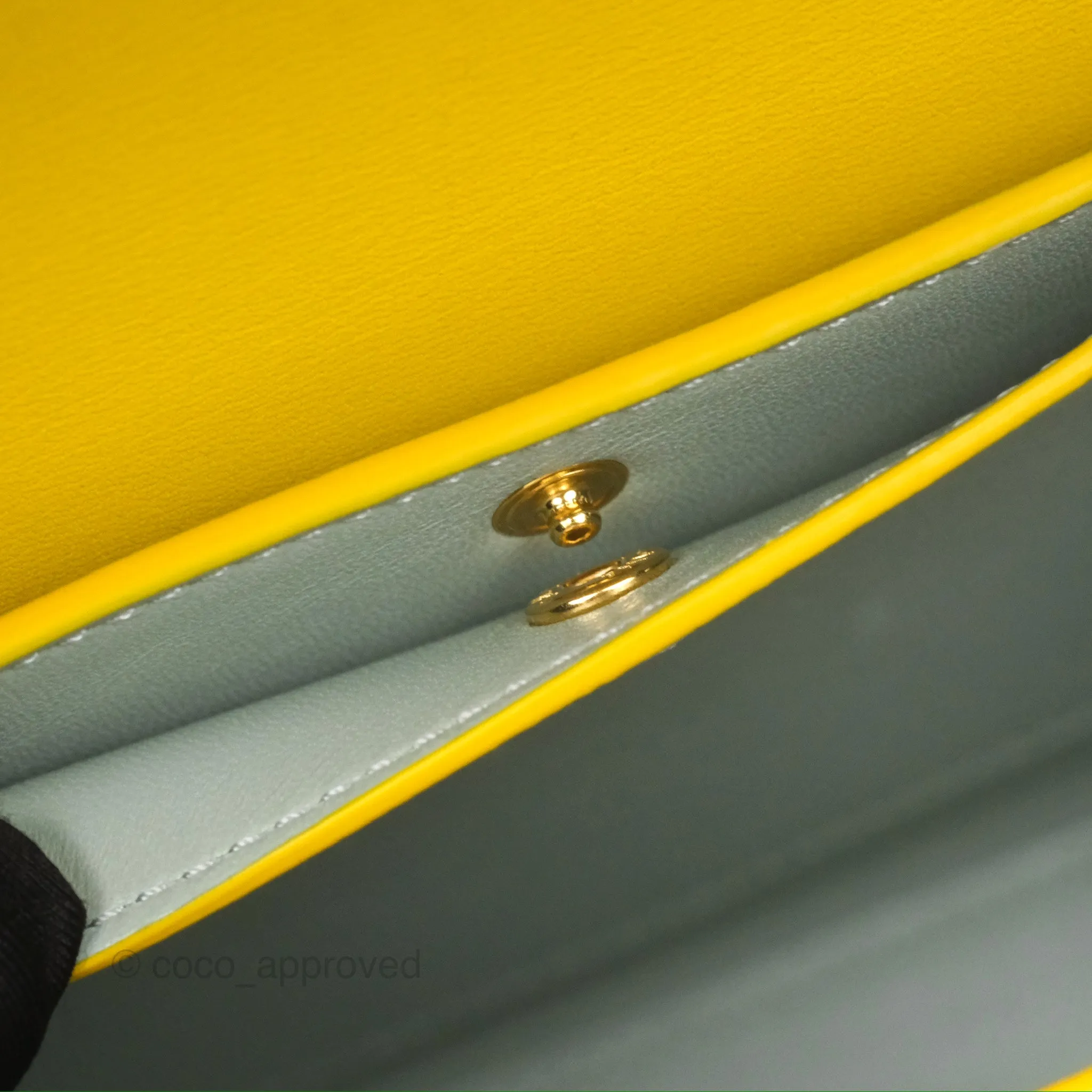 Loewe Small Goya Bag Yellow Silk Calfskin