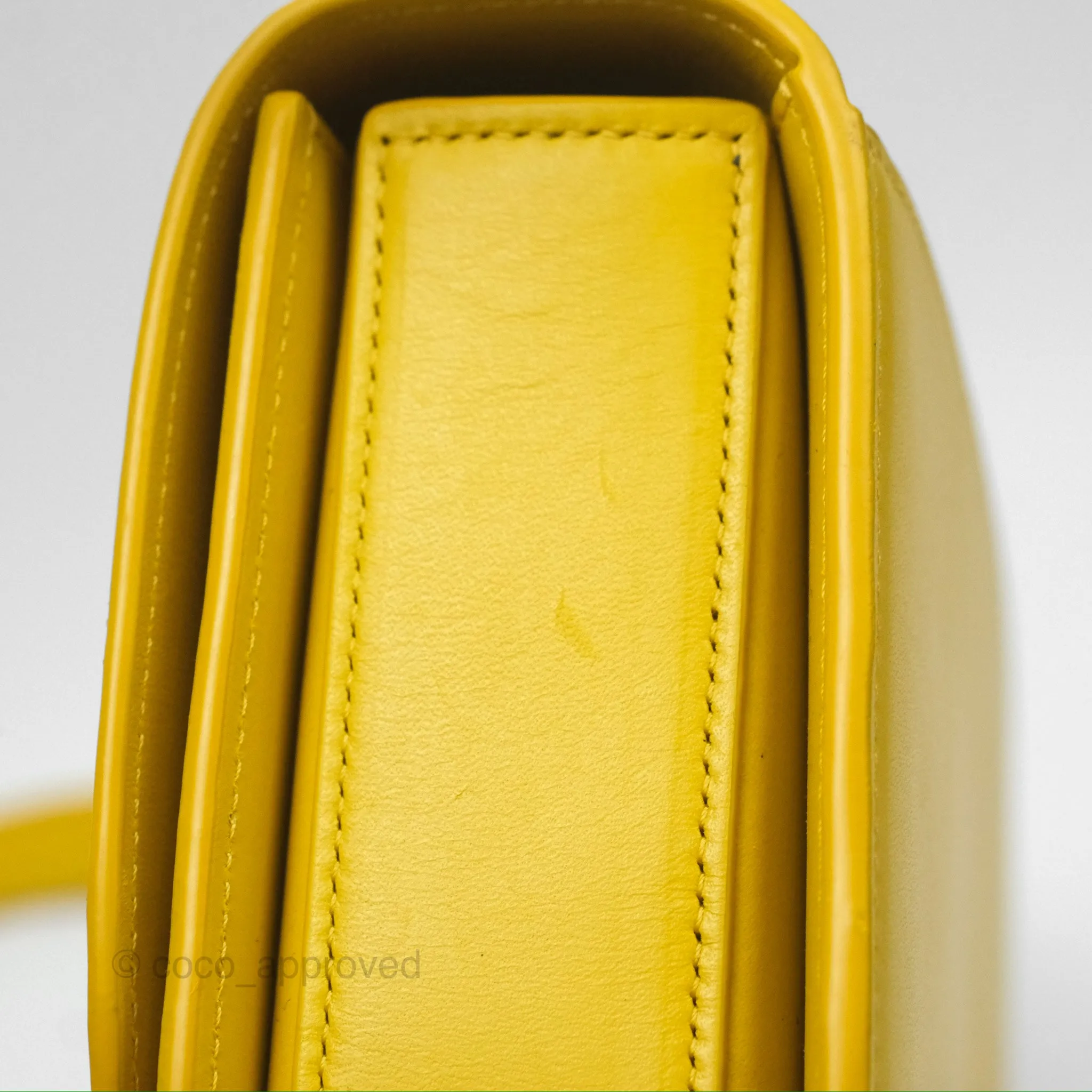 Loewe Small Goya Bag Yellow Silk Calfskin