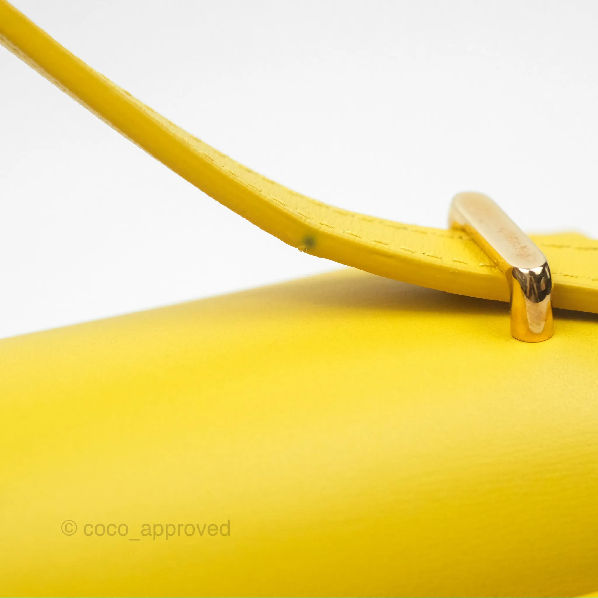 Loewe Small Goya Bag Yellow Silk Calfskin