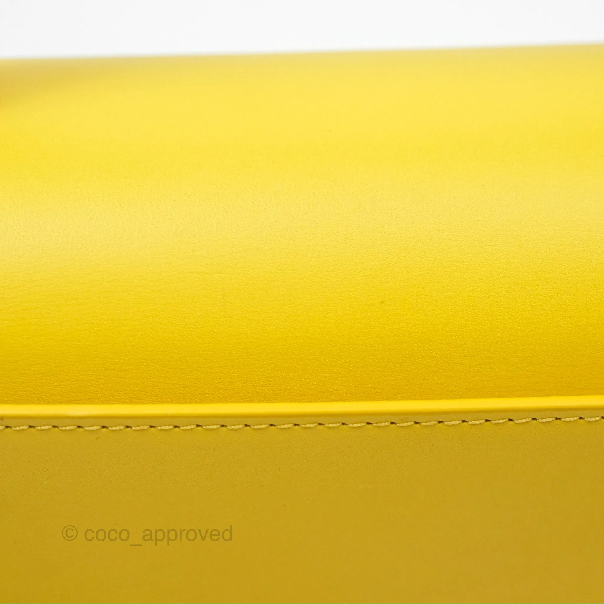 Loewe Small Goya Bag Yellow Silk Calfskin