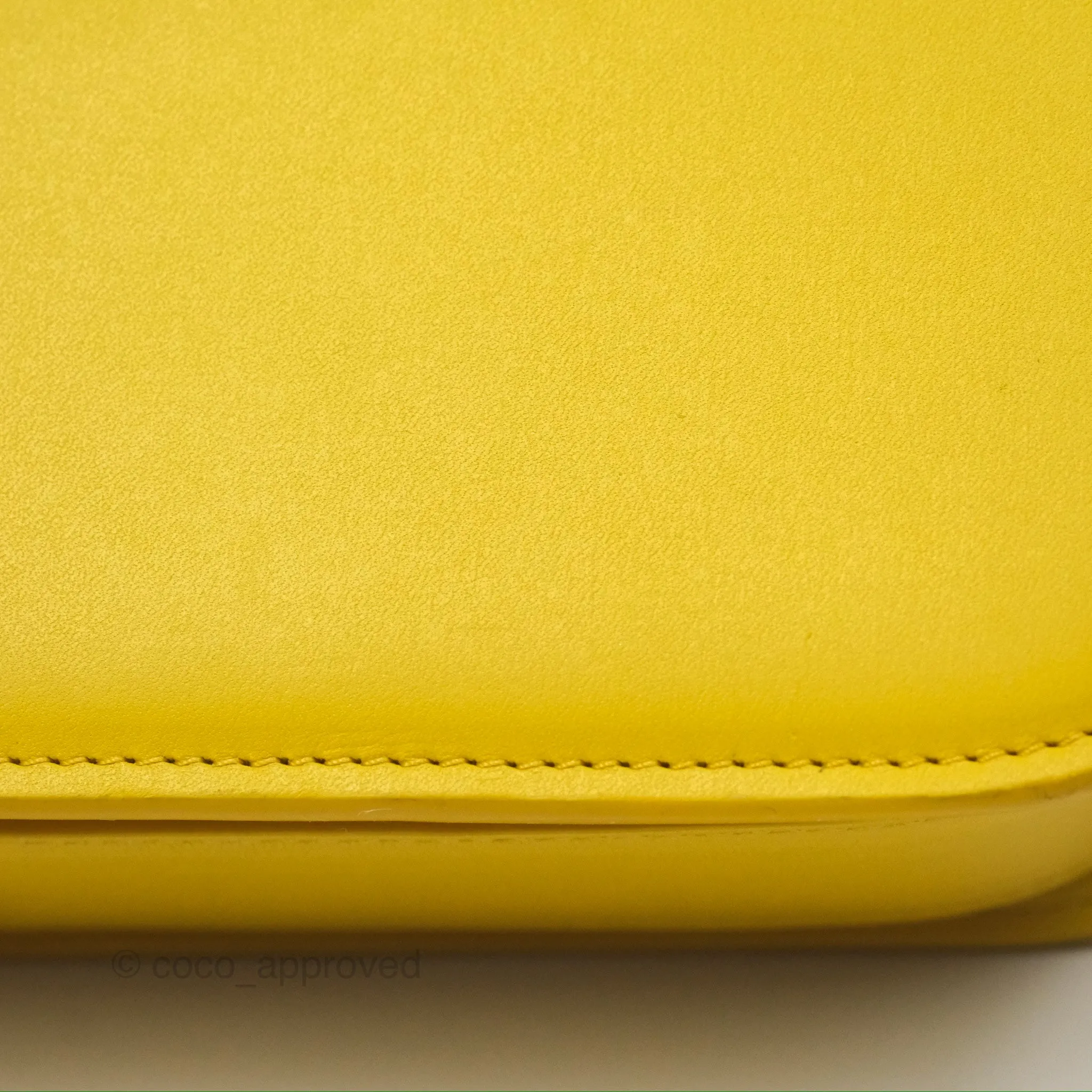 Loewe Small Goya Bag Yellow Silk Calfskin
