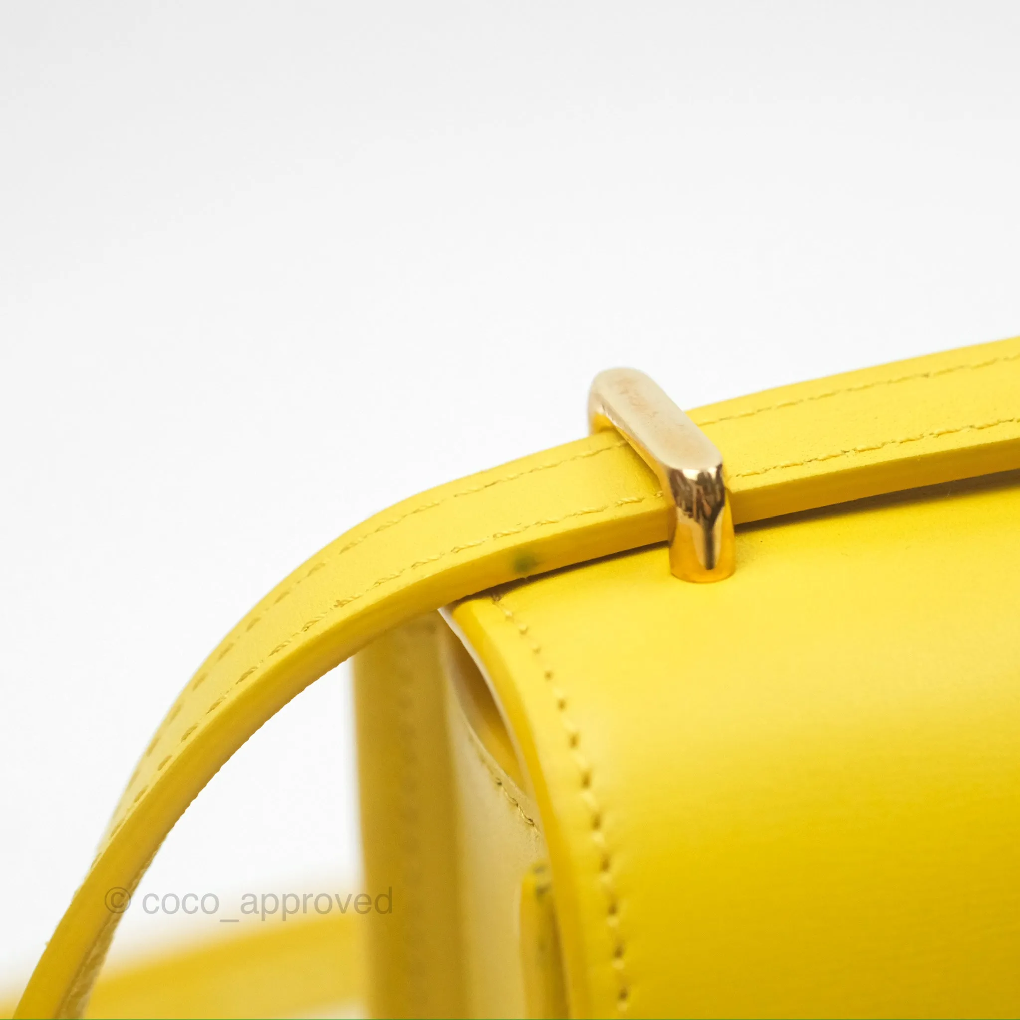 Loewe Small Goya Bag Yellow Silk Calfskin