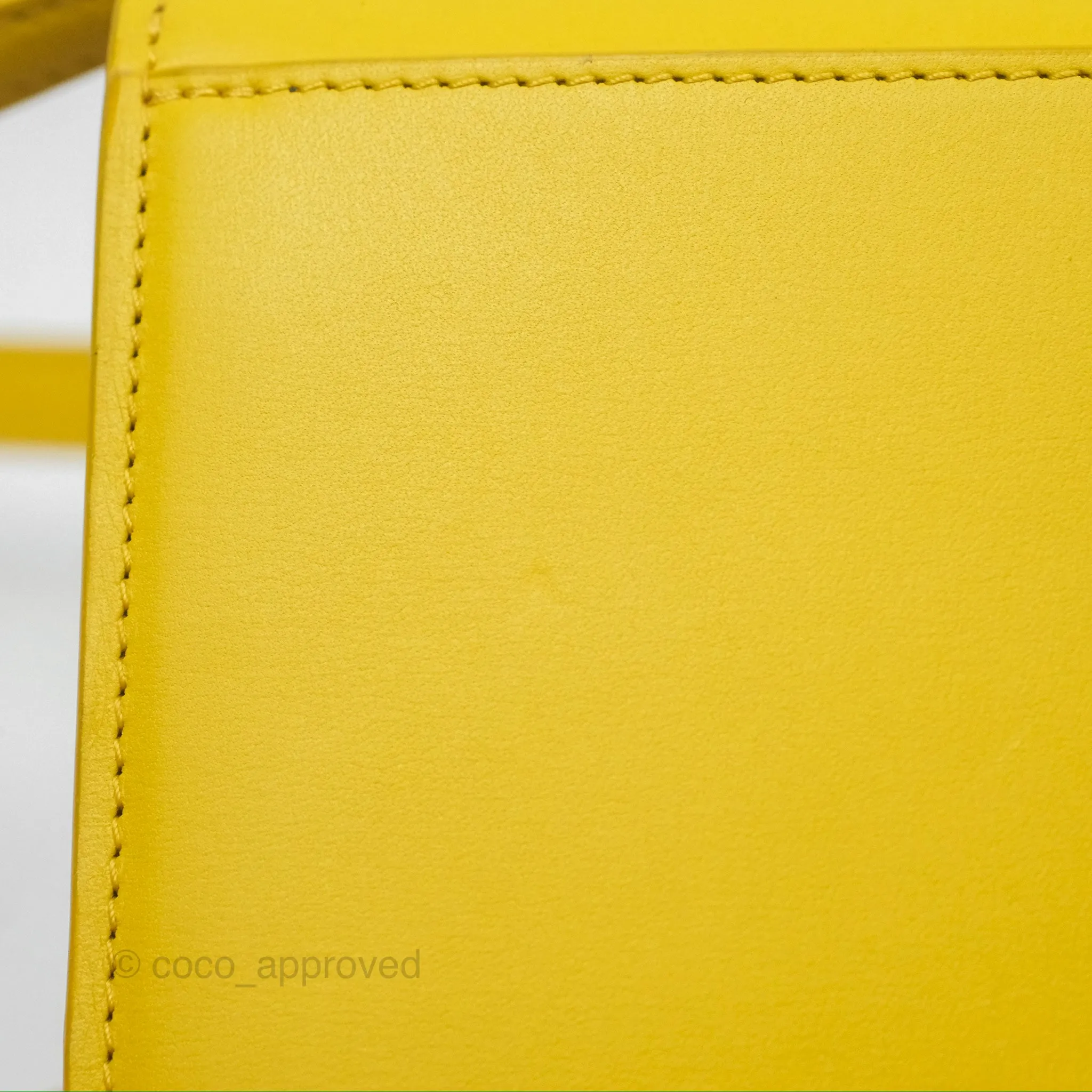 Loewe Small Goya Bag Yellow Silk Calfskin