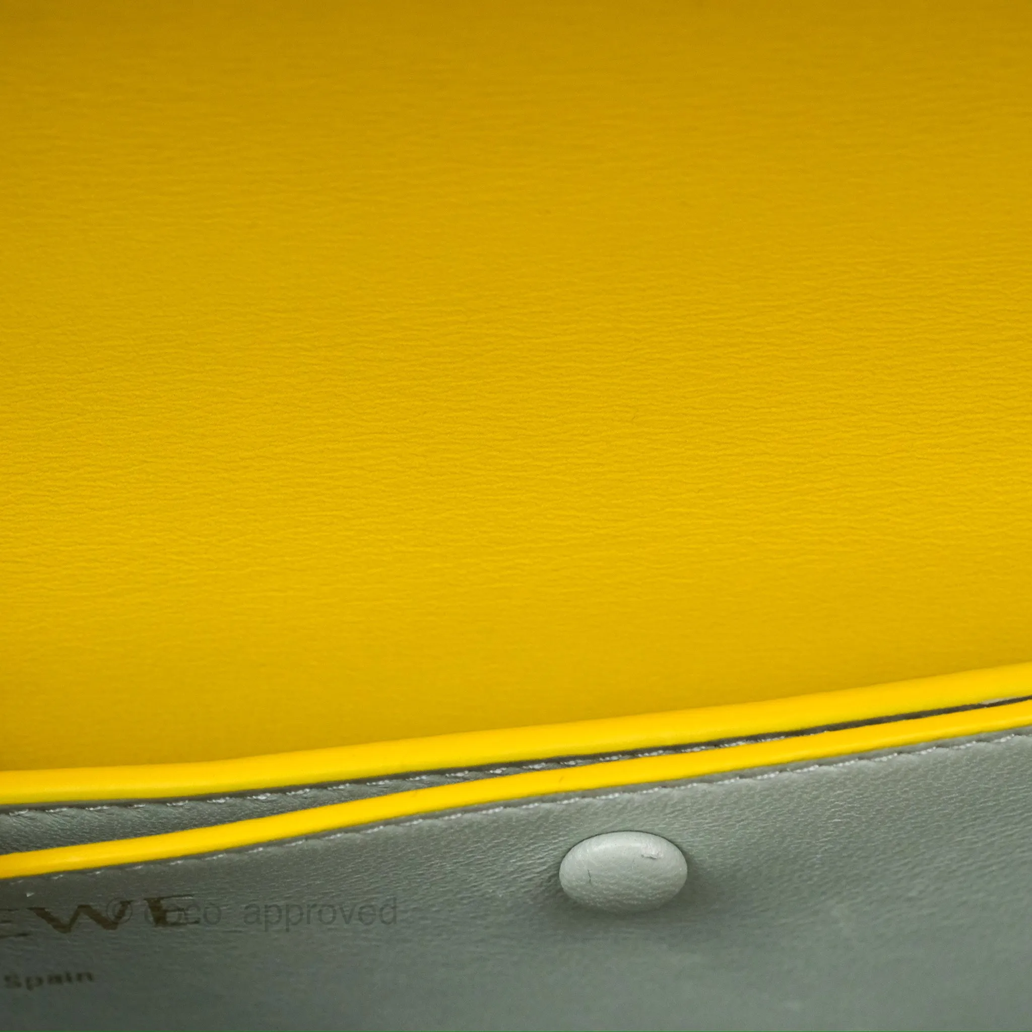 Loewe Small Goya Bag Yellow Silk Calfskin
