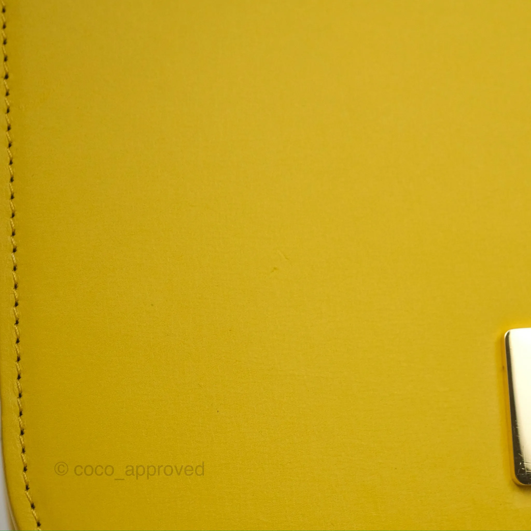 Loewe Small Goya Bag Yellow Silk Calfskin