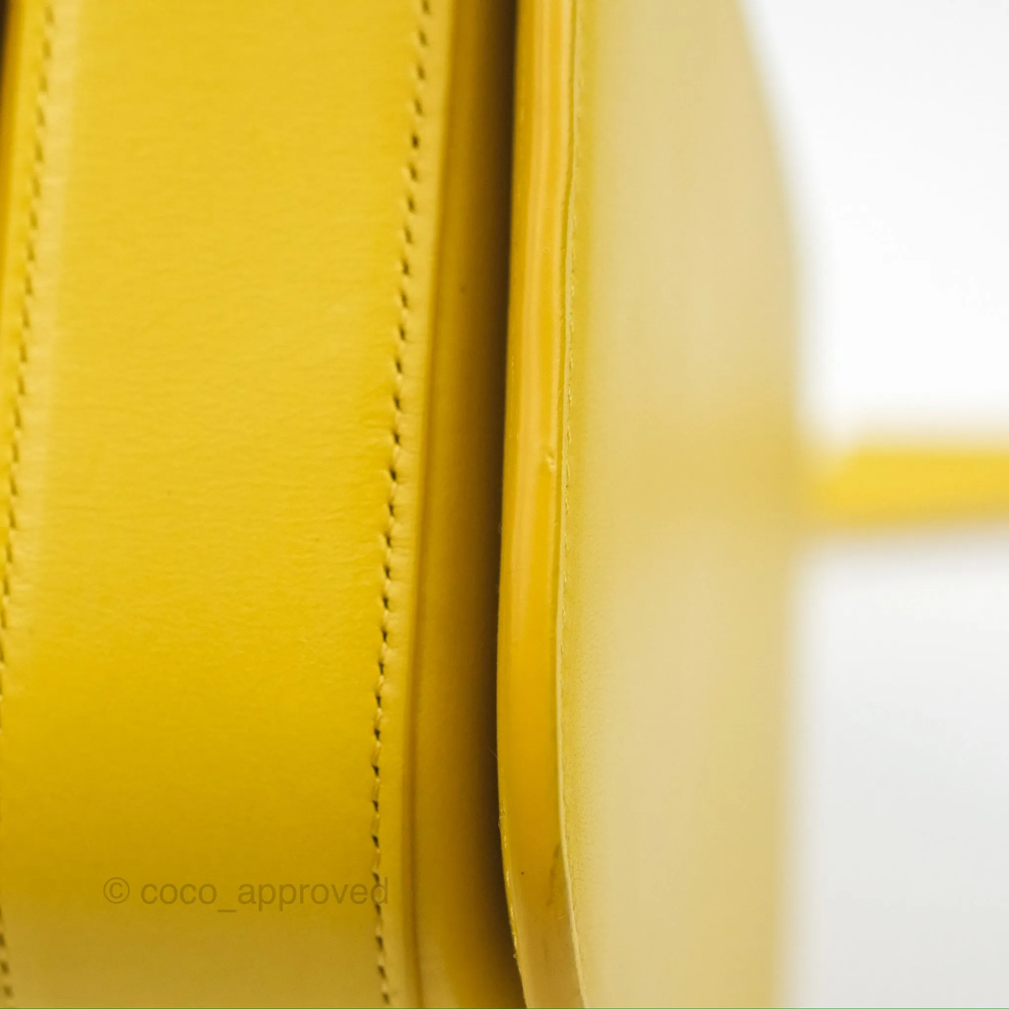 Loewe Small Goya Bag Yellow Silk Calfskin