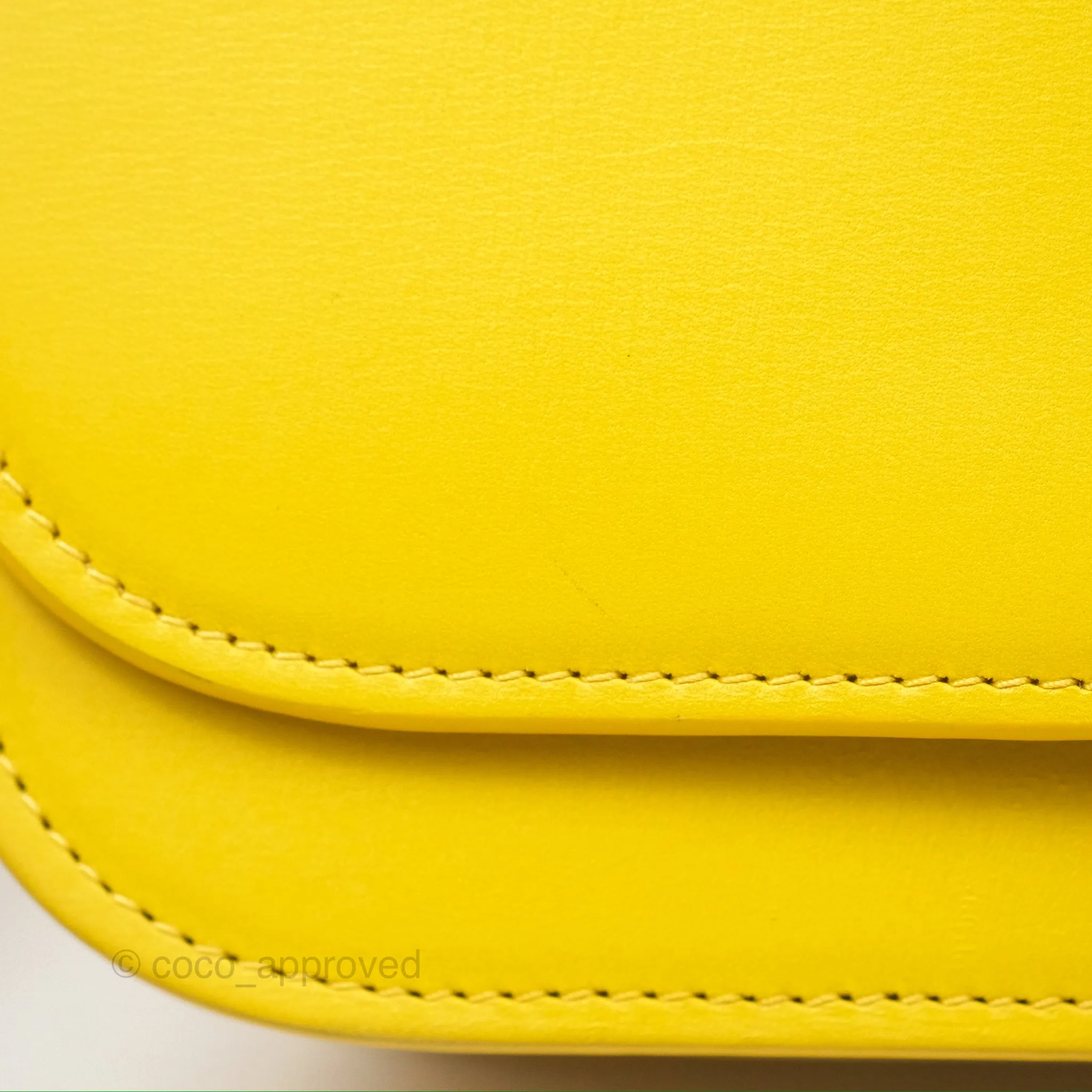 Loewe Small Goya Bag Yellow Silk Calfskin