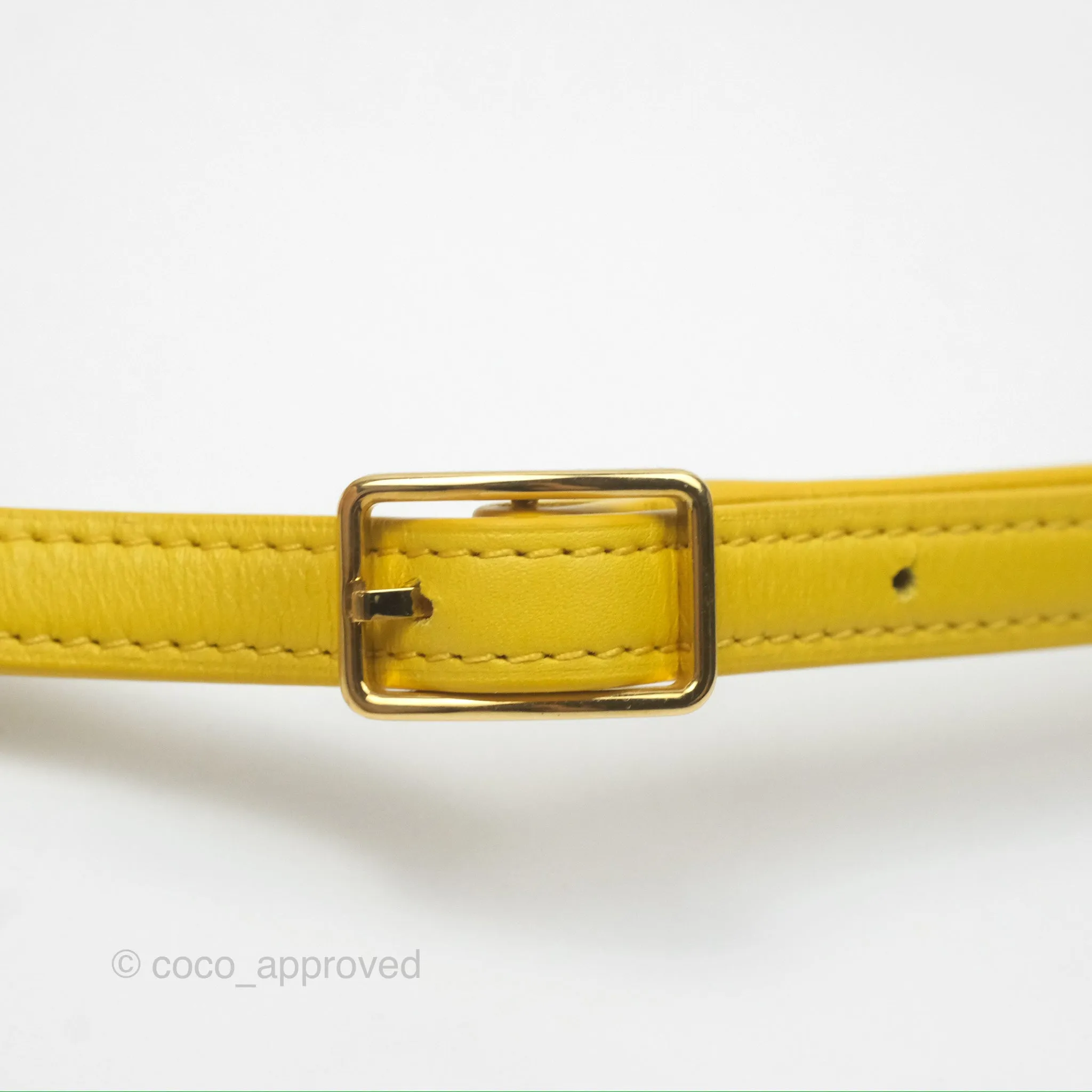 Loewe Small Goya Bag Yellow Silk Calfskin