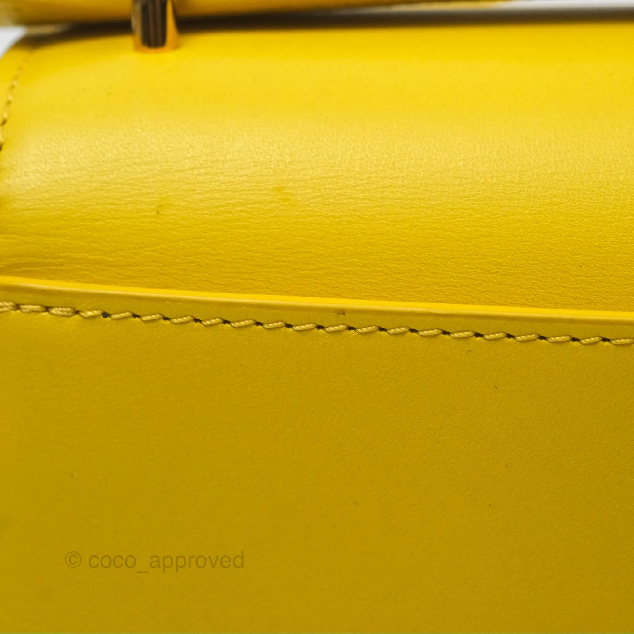 Loewe Small Goya Bag Yellow Silk Calfskin